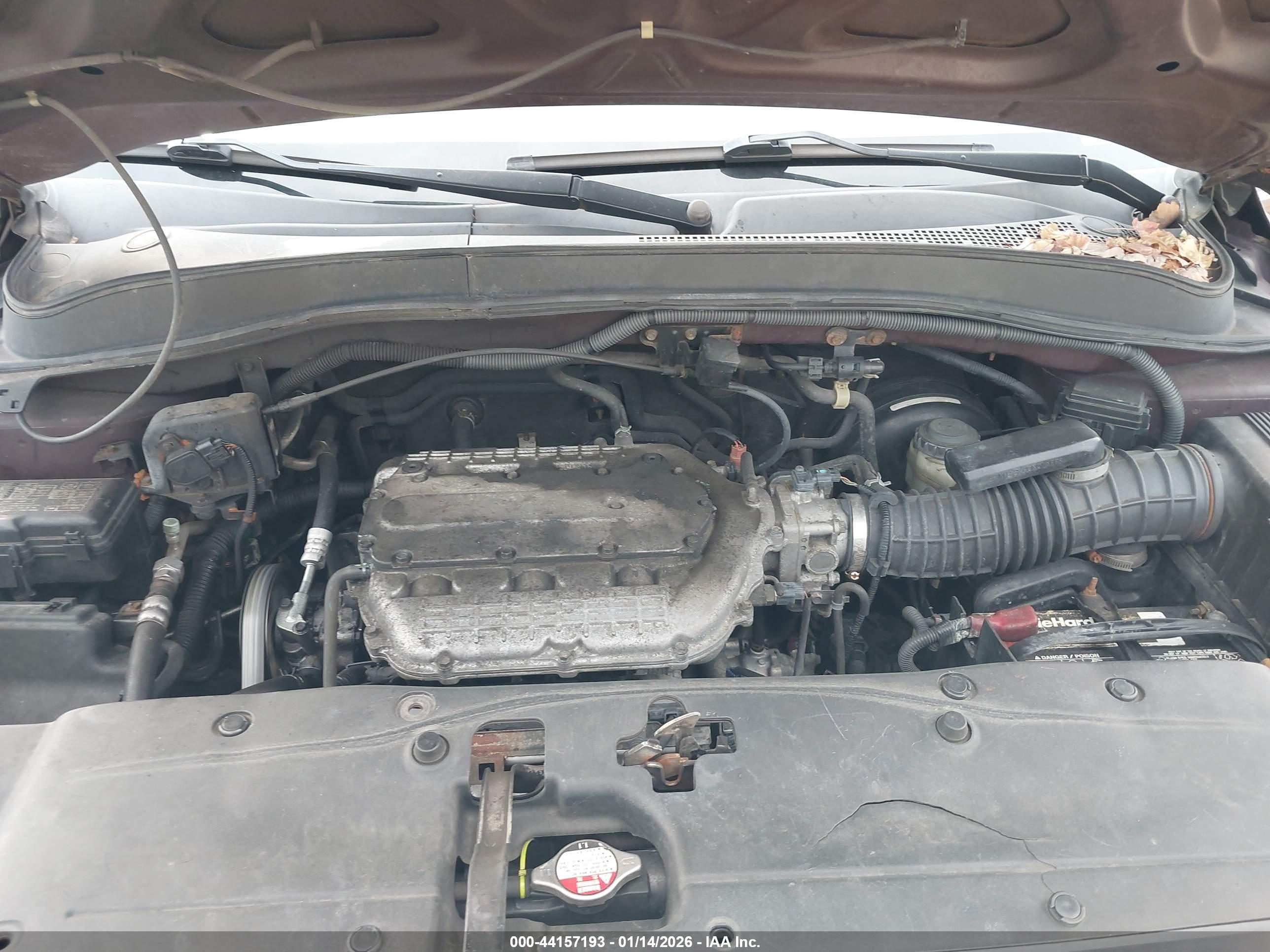 HONDA PILOT image 10