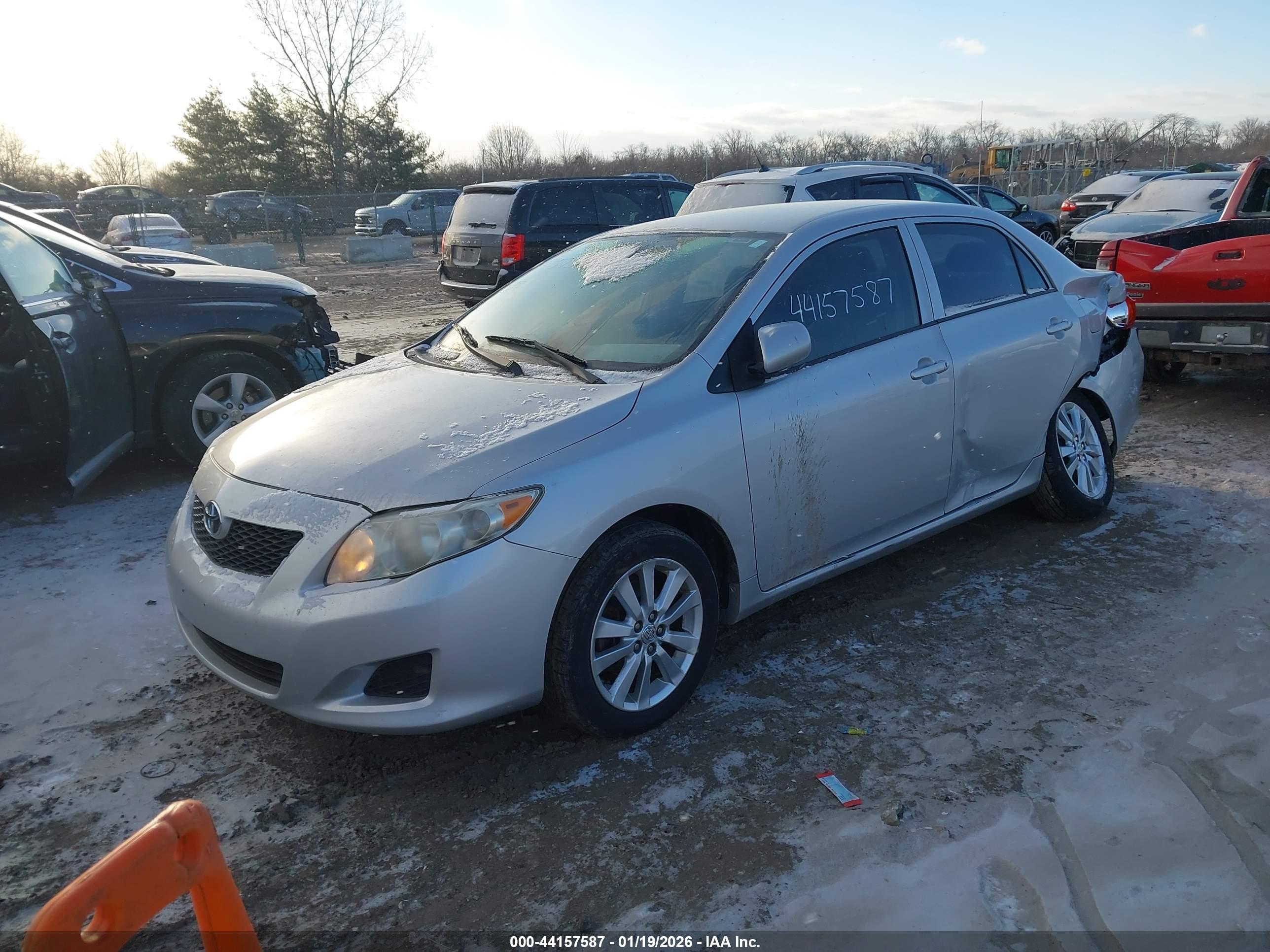 TOYOTA COROLLA image 2