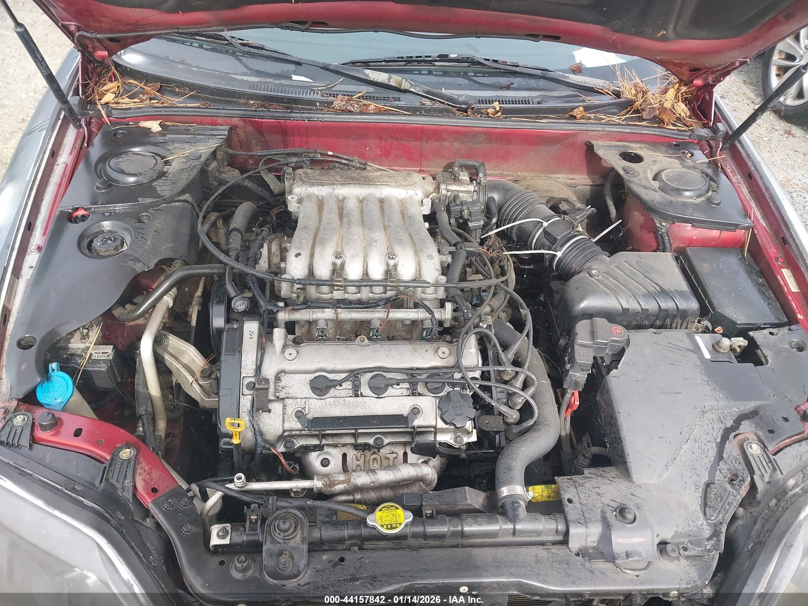 HYUNDAI TIBURON image 10
