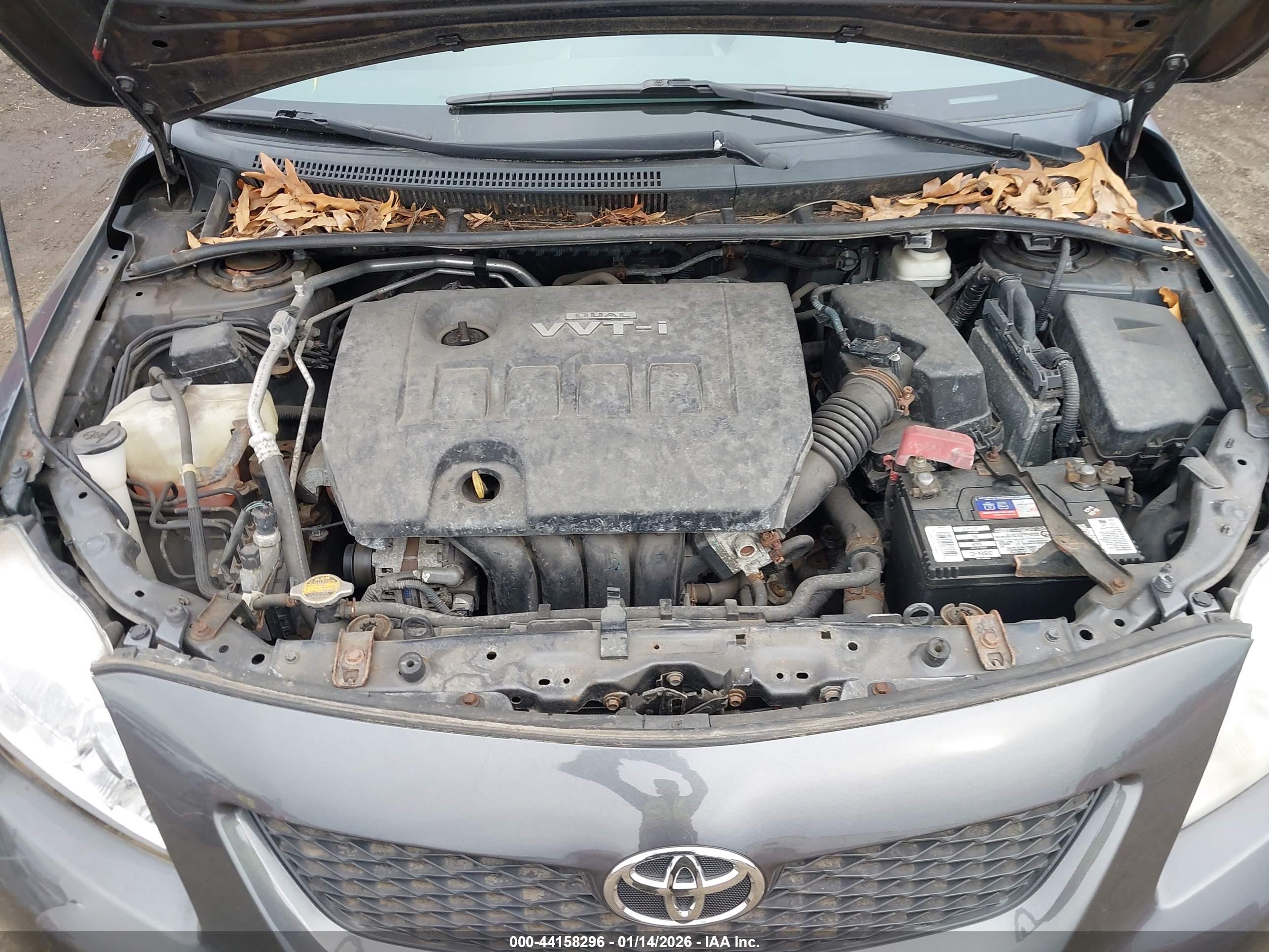 TOYOTA COROLLA image 10