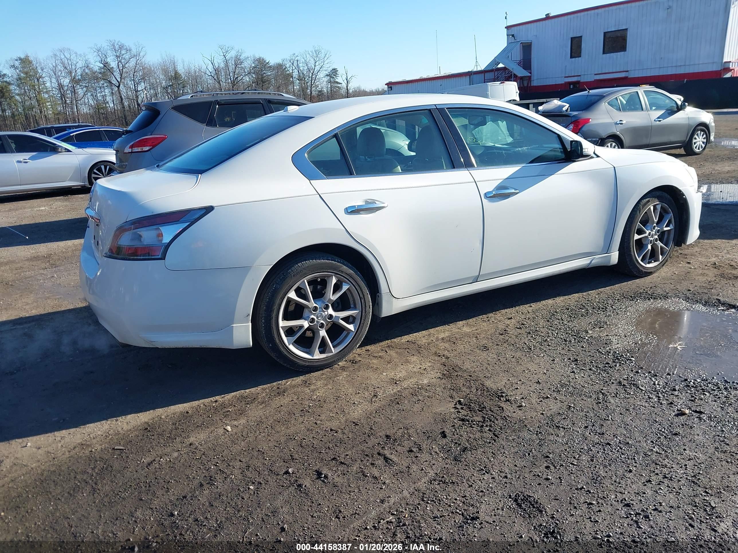NISSAN MAXIMA image 4