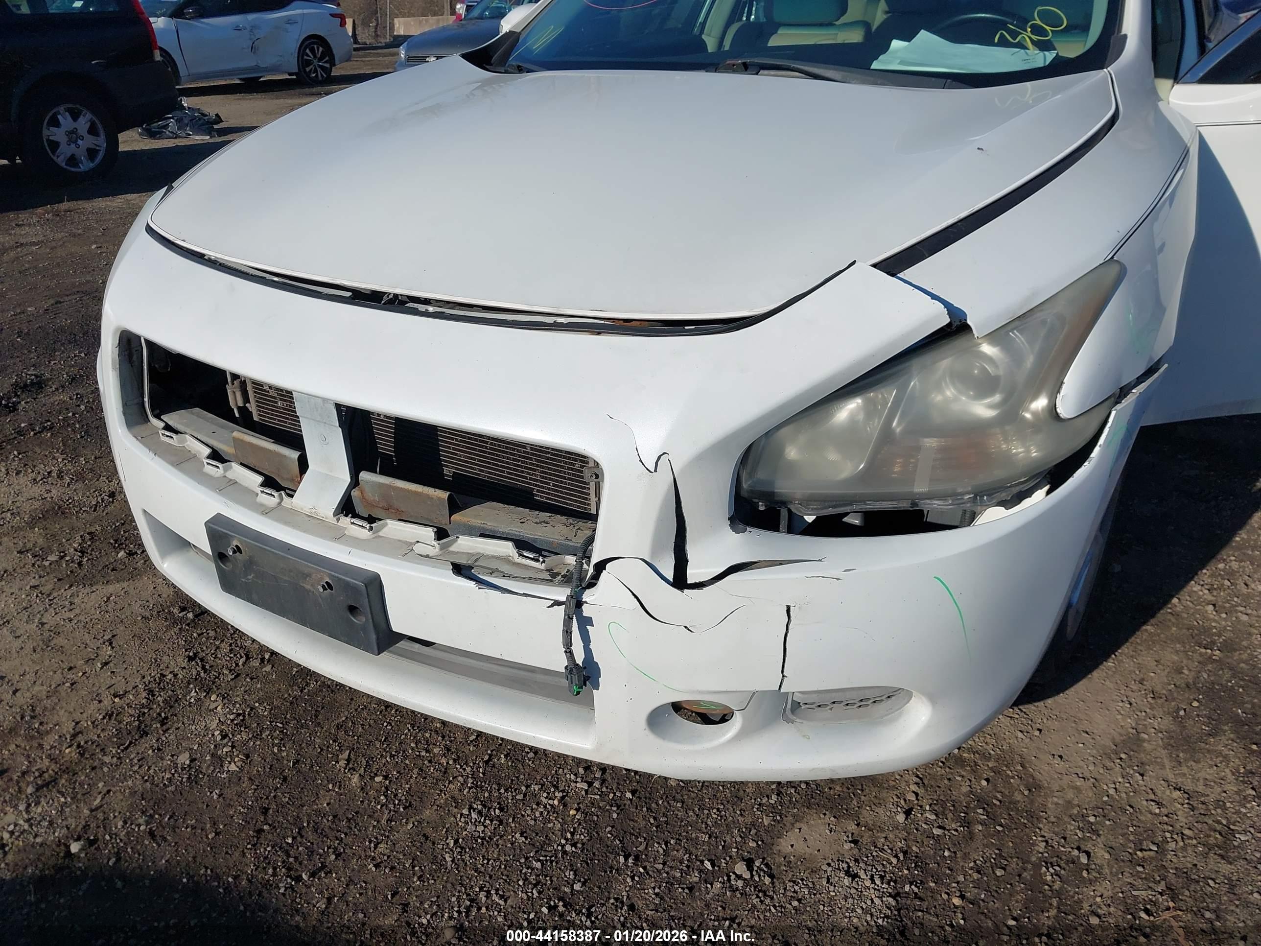 NISSAN MAXIMA image 6