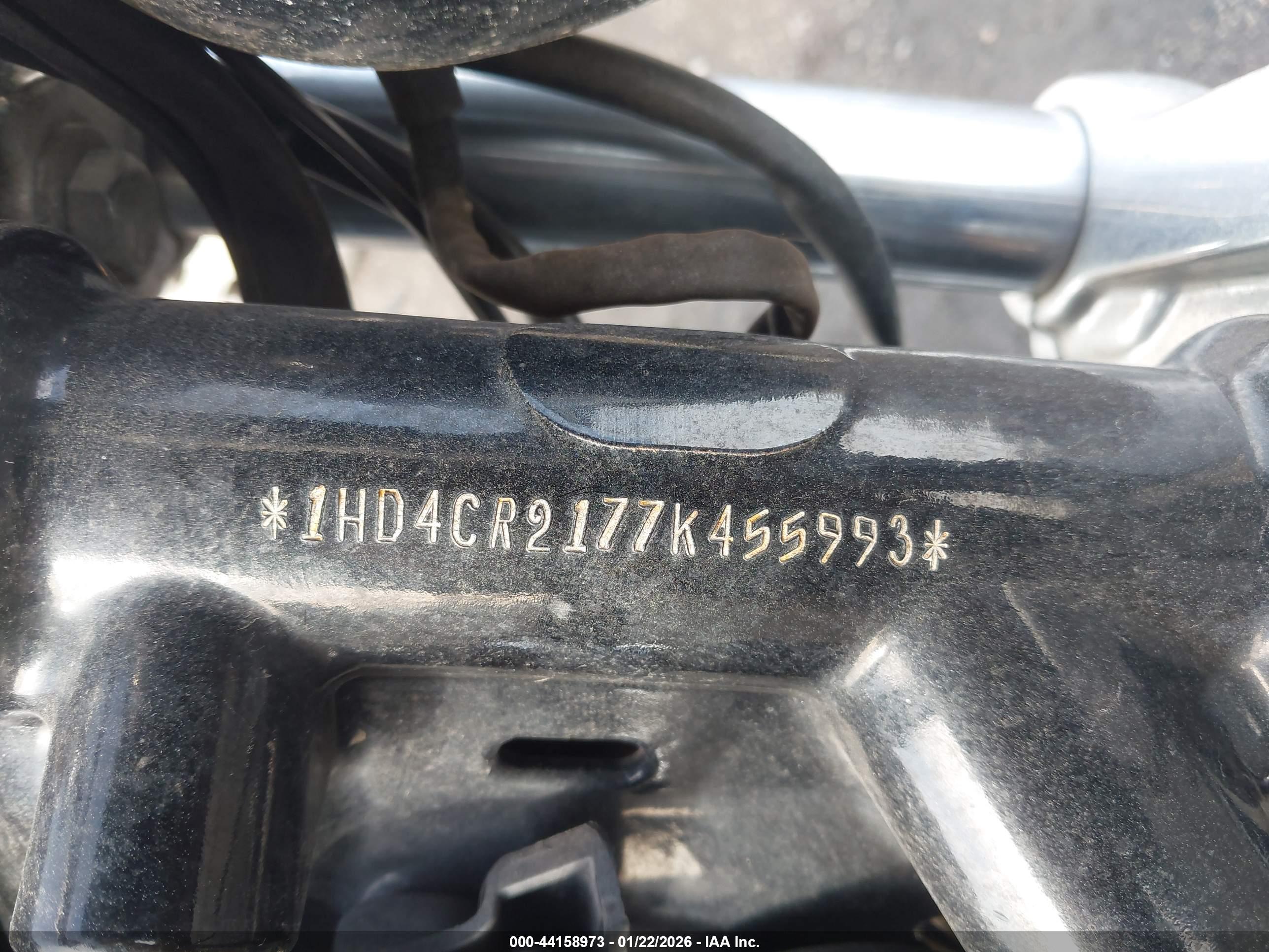 HARLEY-DAVIDSON XL883 image 10