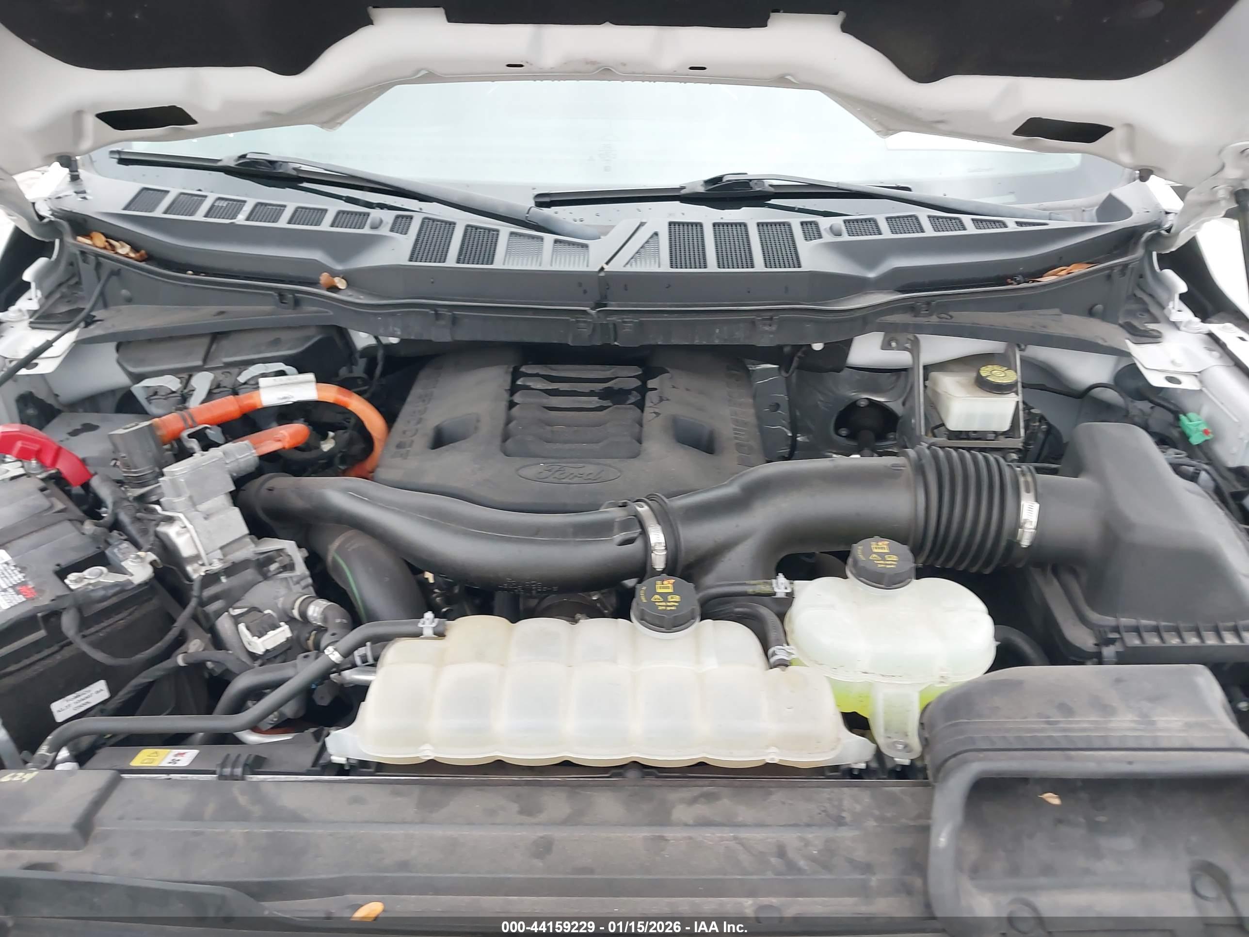 FORD F-150 image 10
