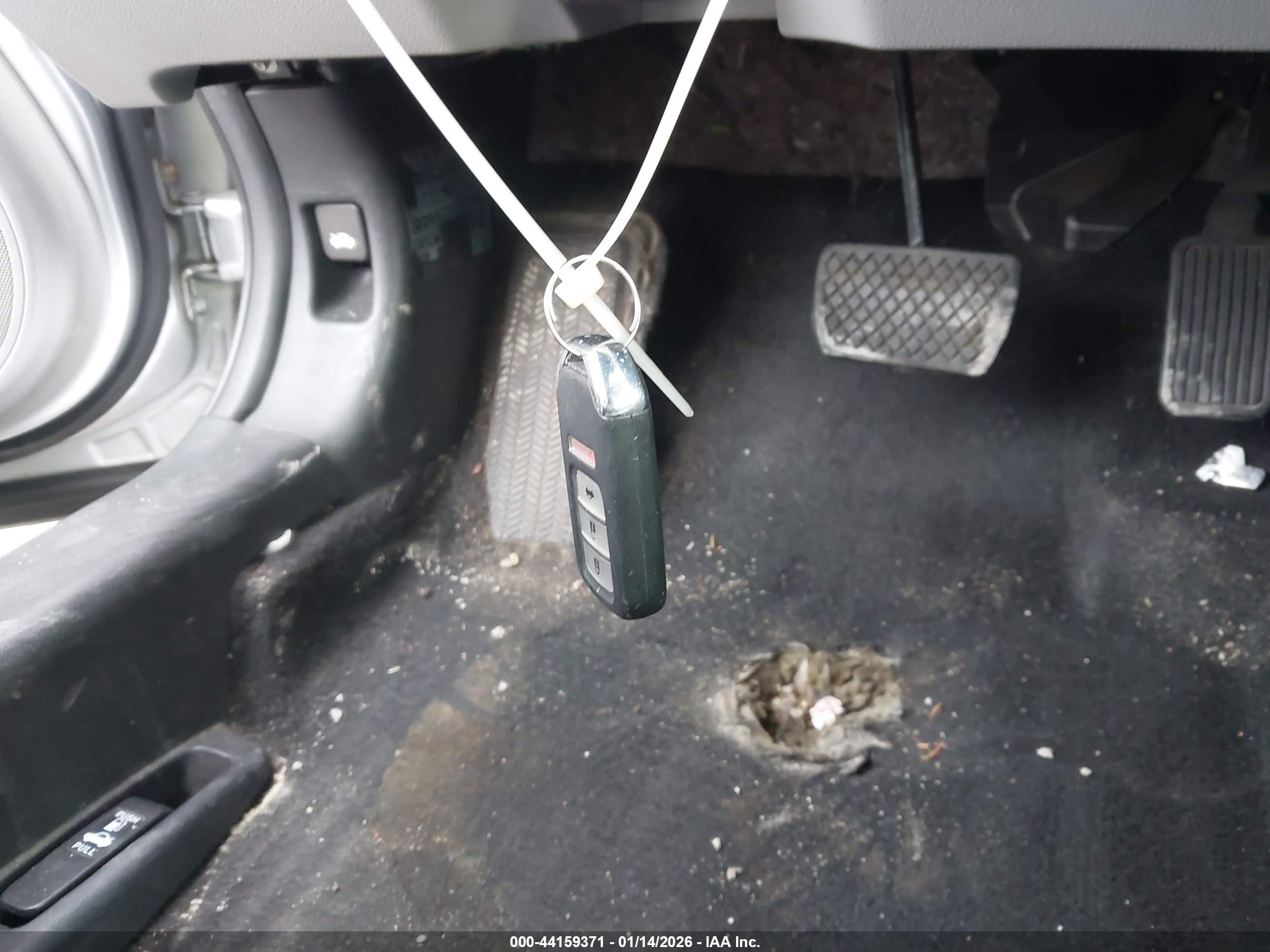 HONDA ACCORD image 11