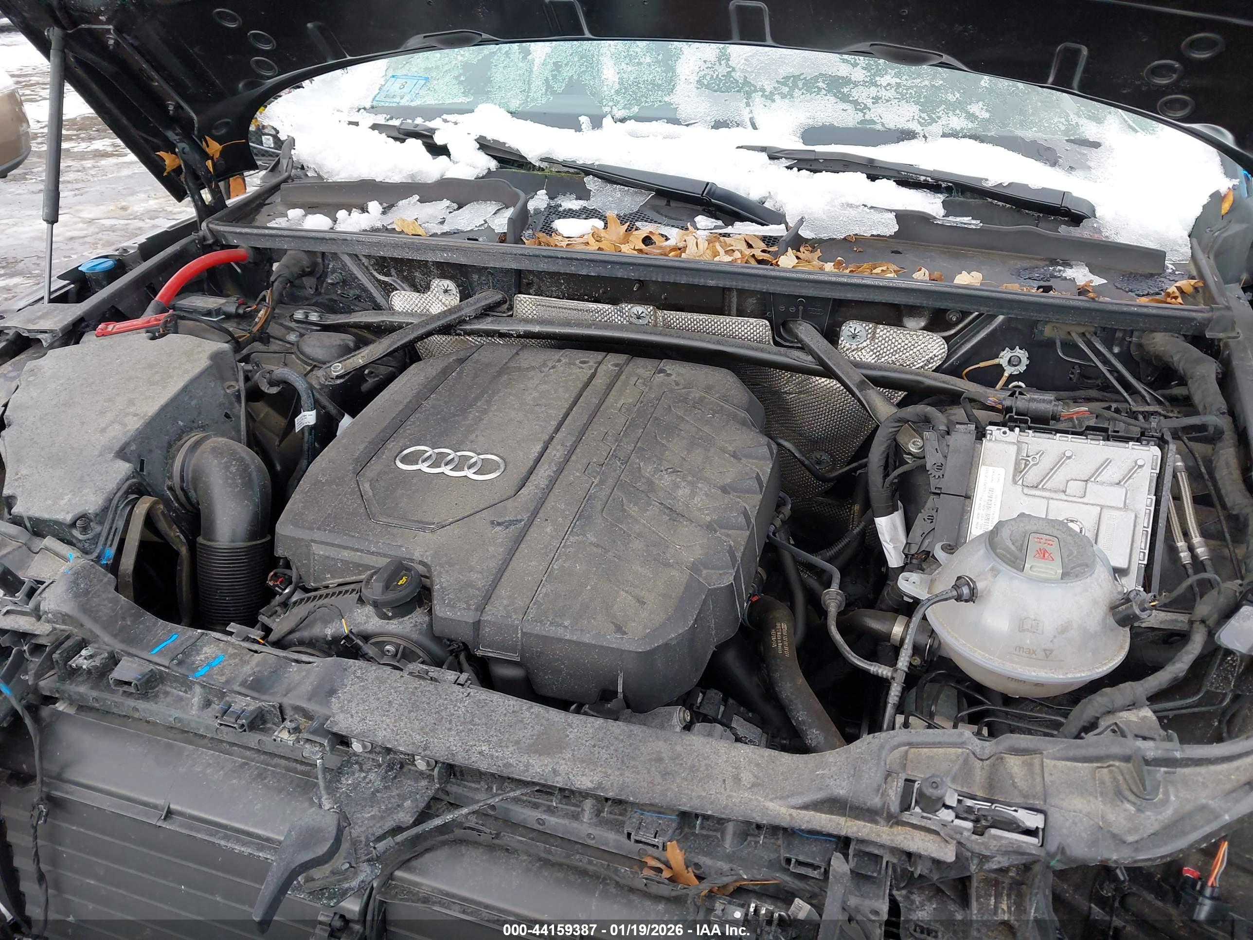 AUDI Q5 image 10