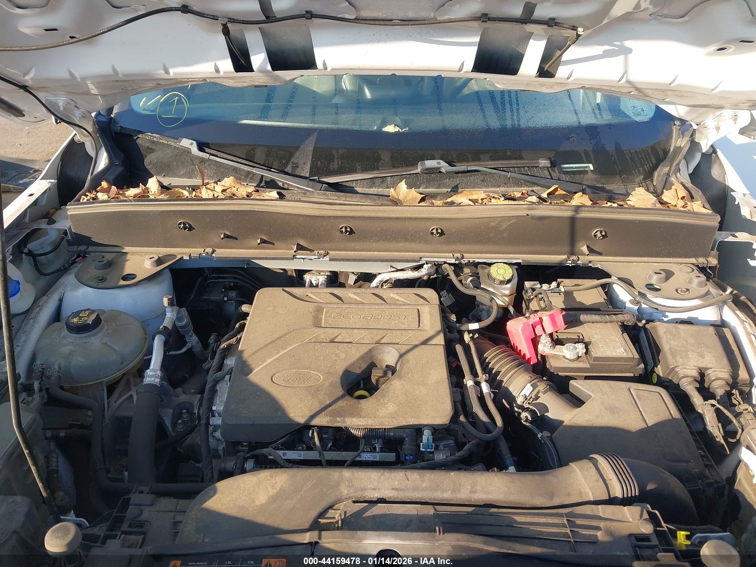 FORD BRONCO image 10