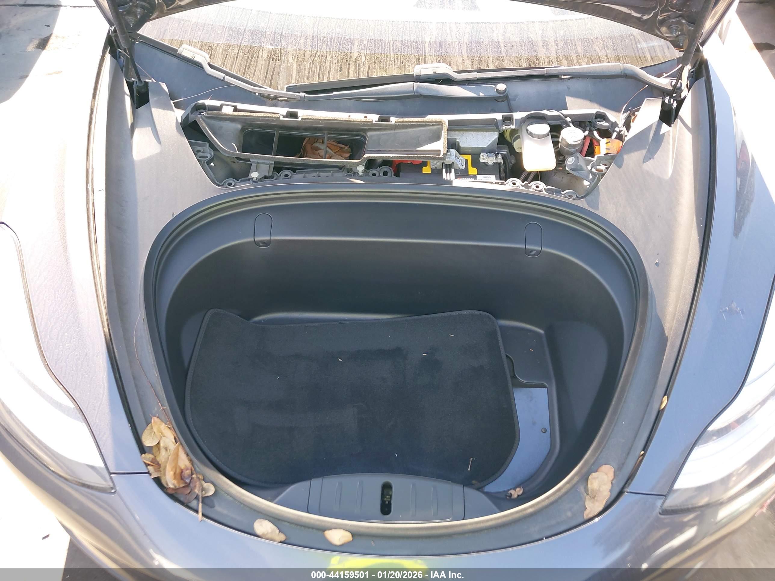 TESLA MODEL image 10
