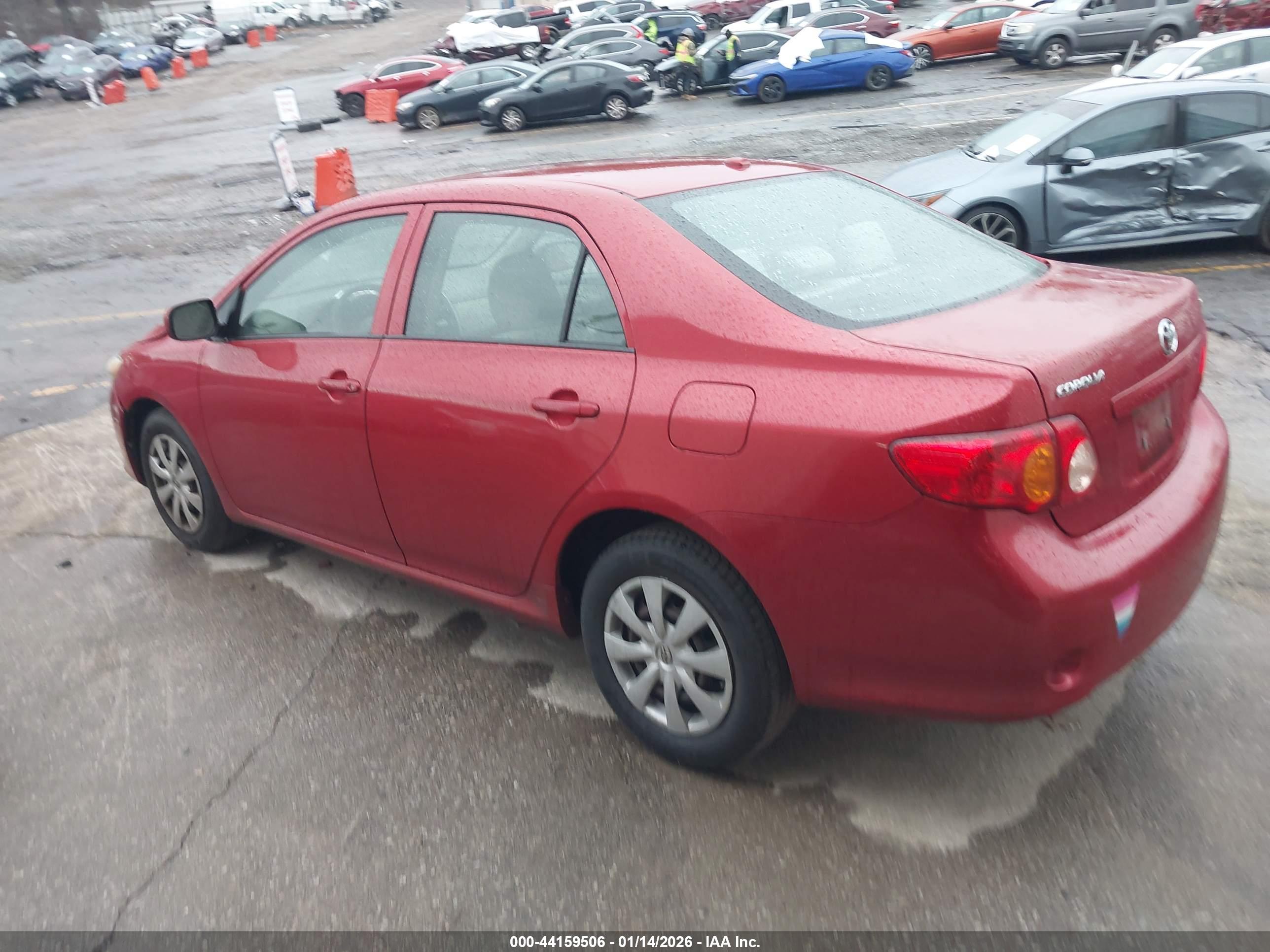 TOYOTA COROLLA image 3