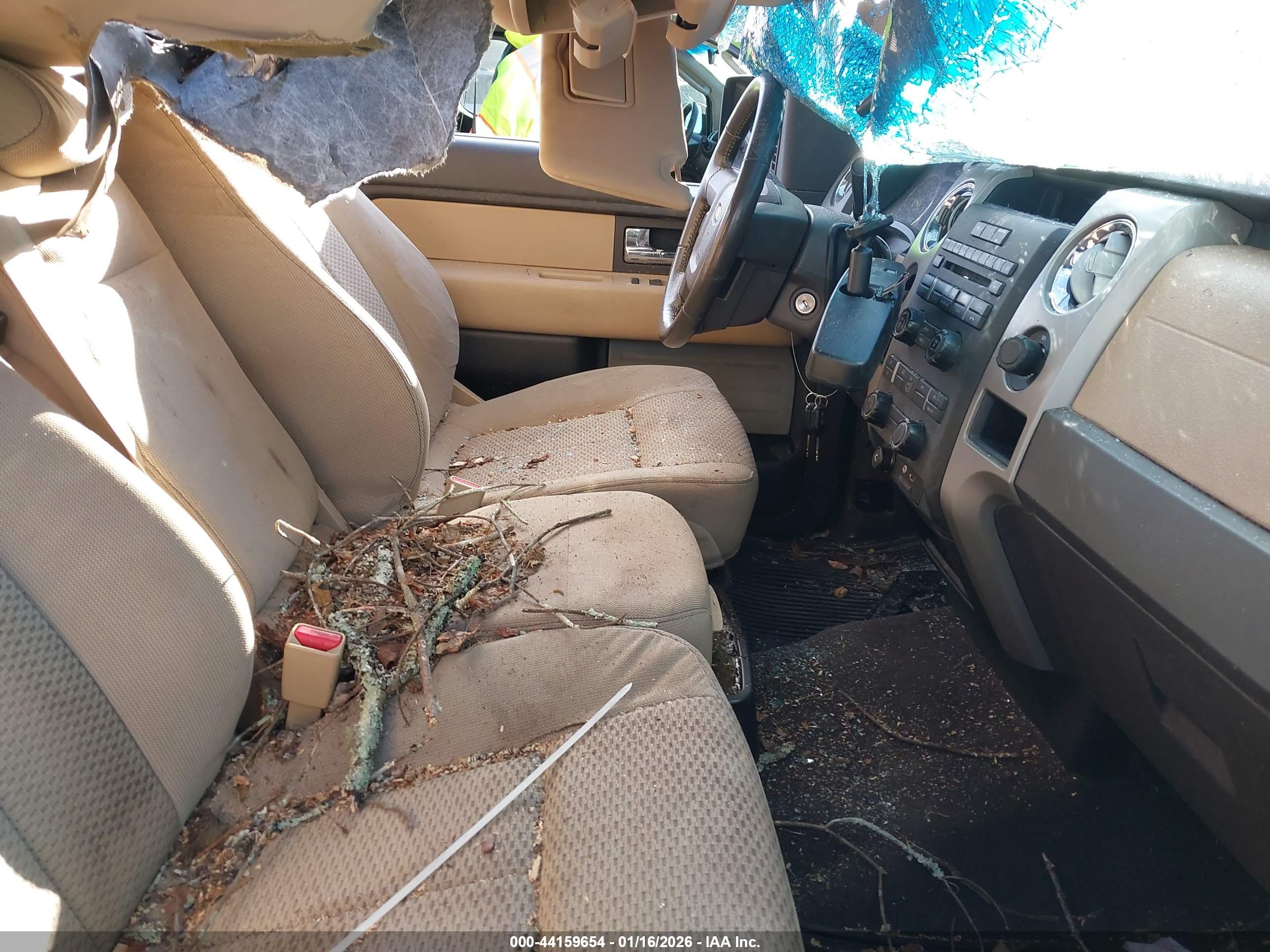 FORD F-150 image 5