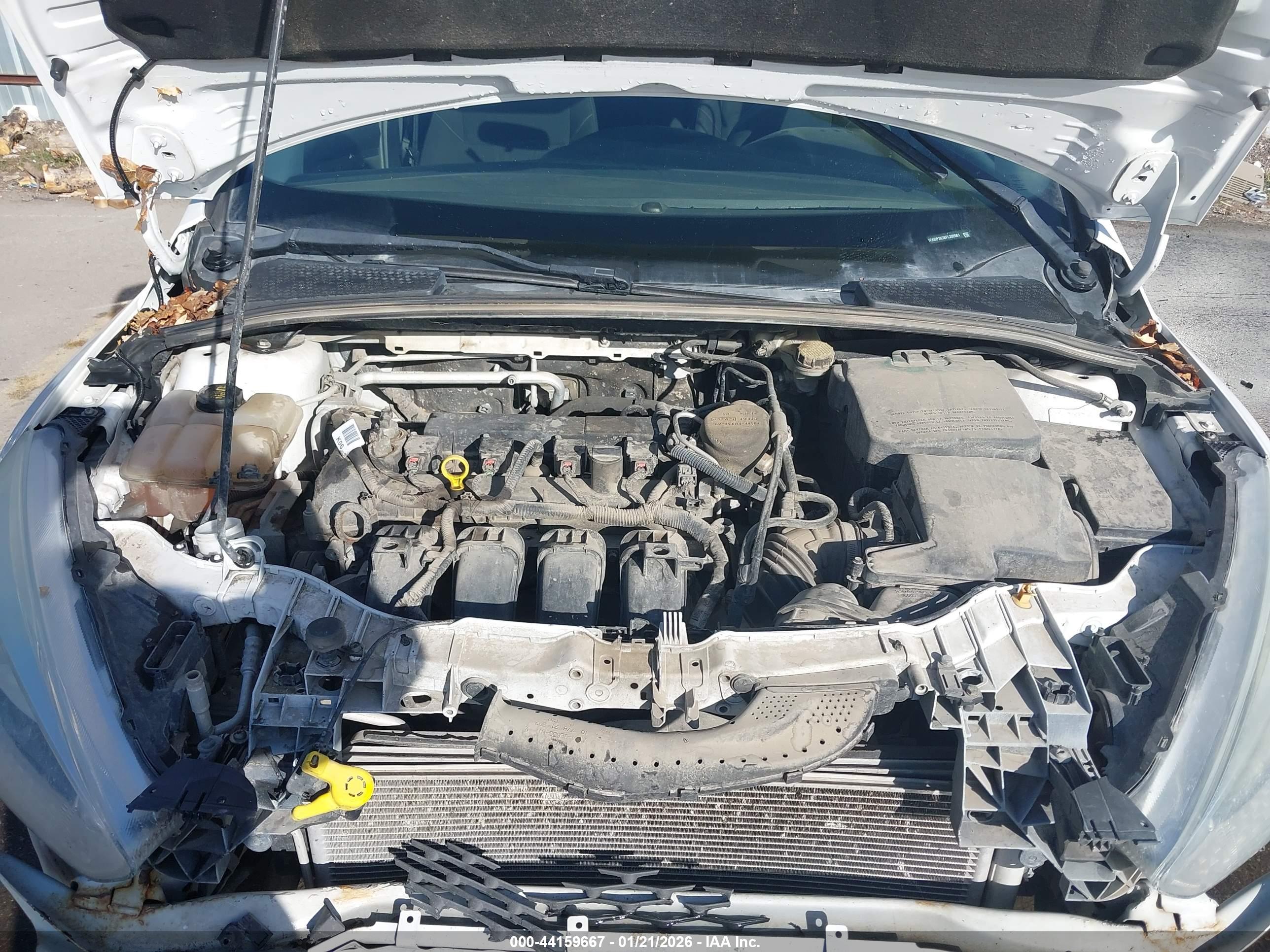 FORD FOCUS image 10