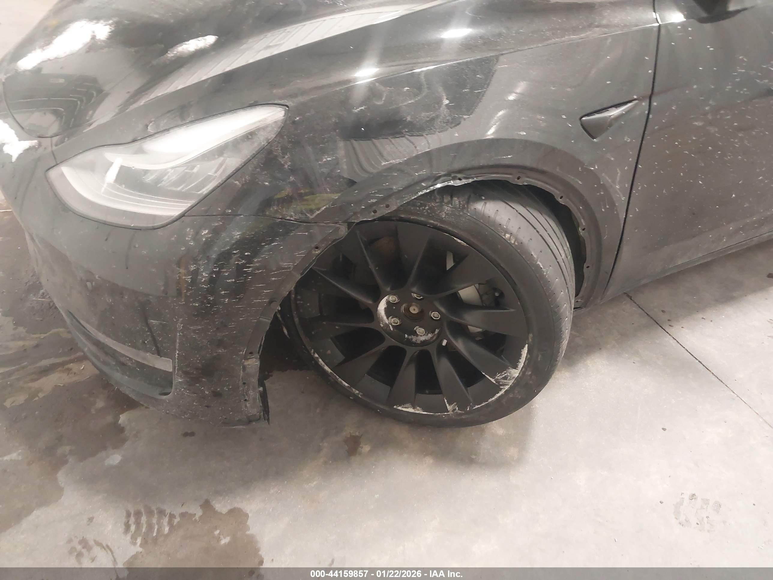 TESLA MODEL image 6