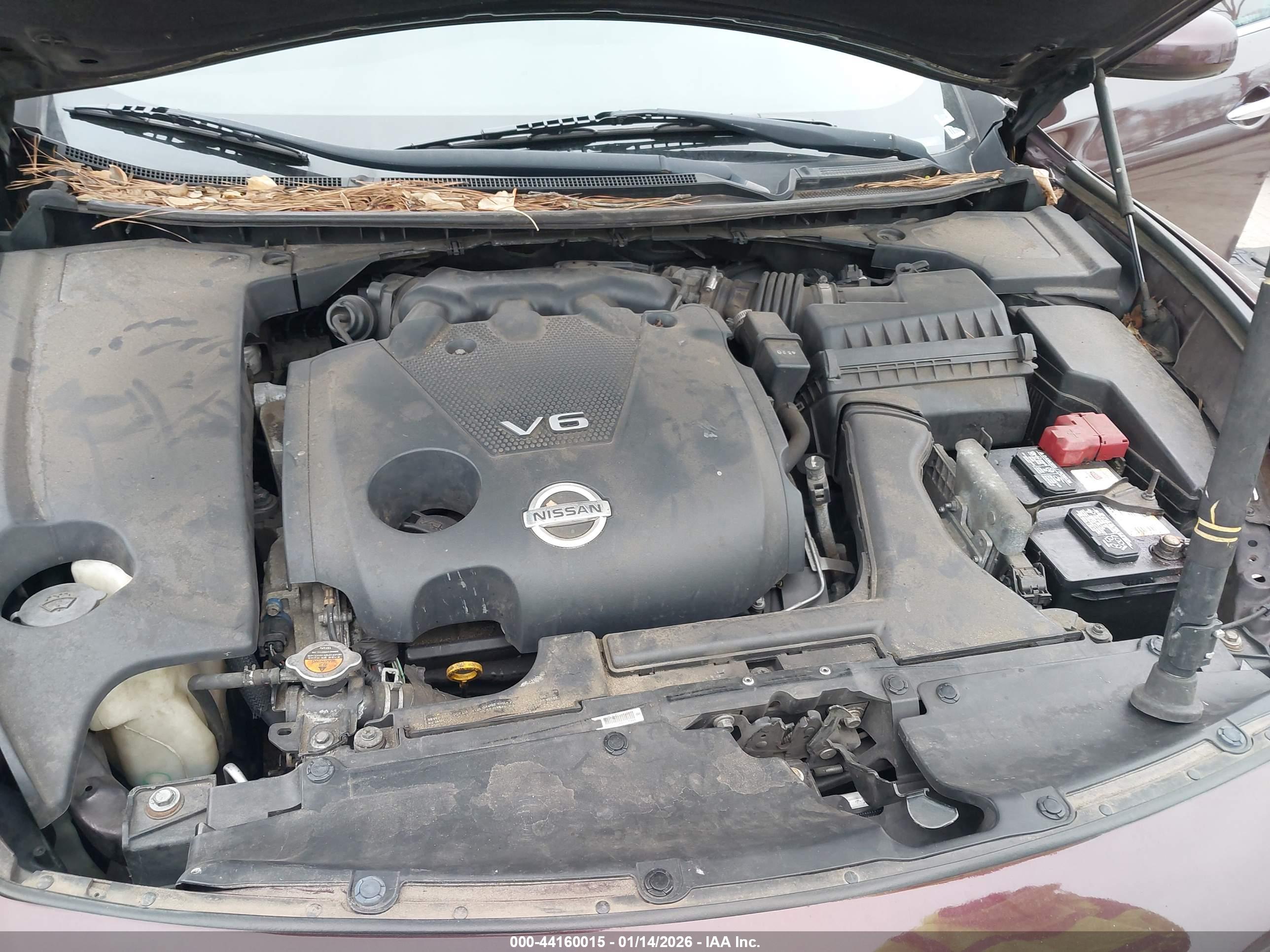 NISSAN MAXIMA image 10