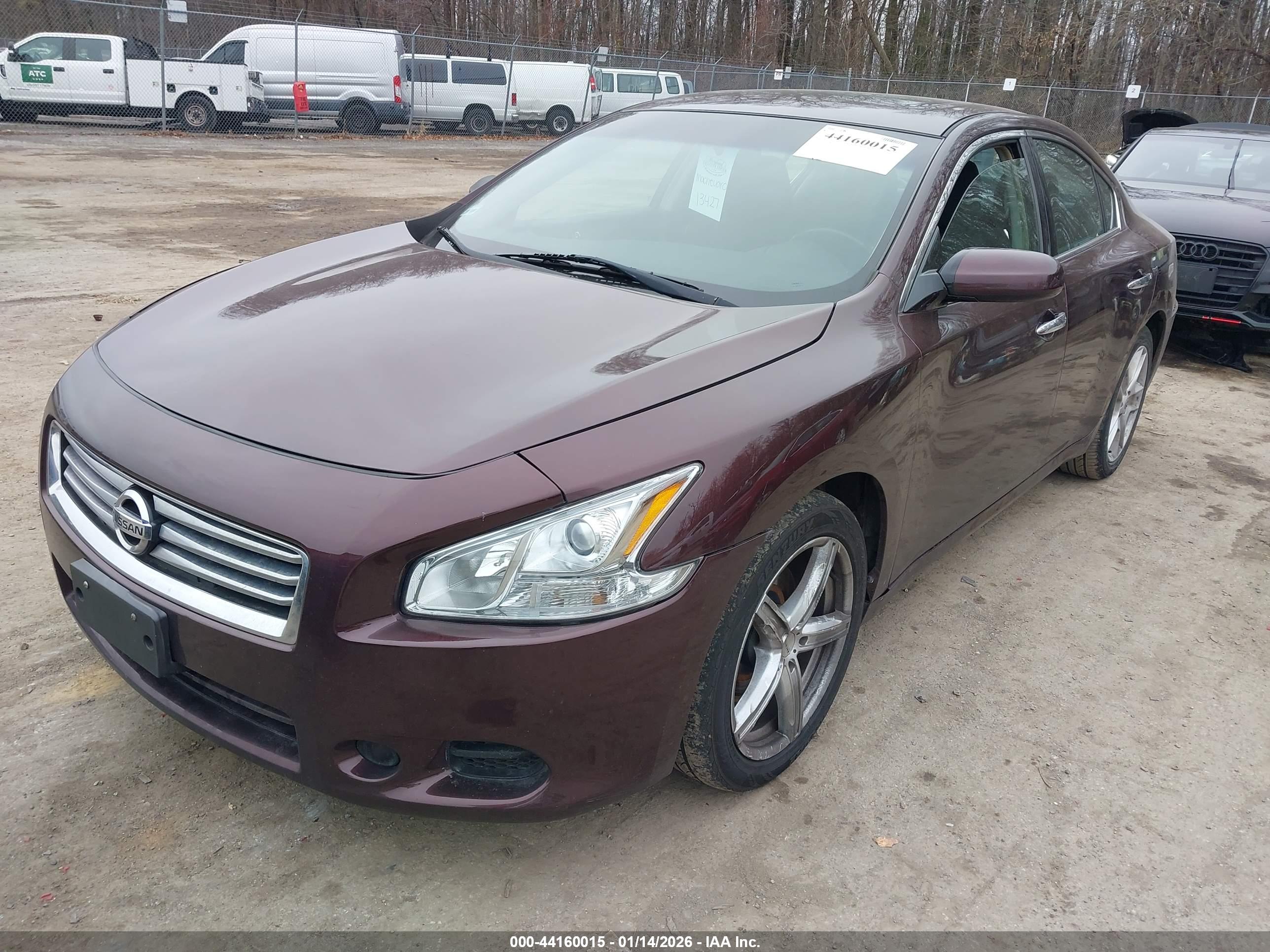 NISSAN MAXIMA image 2