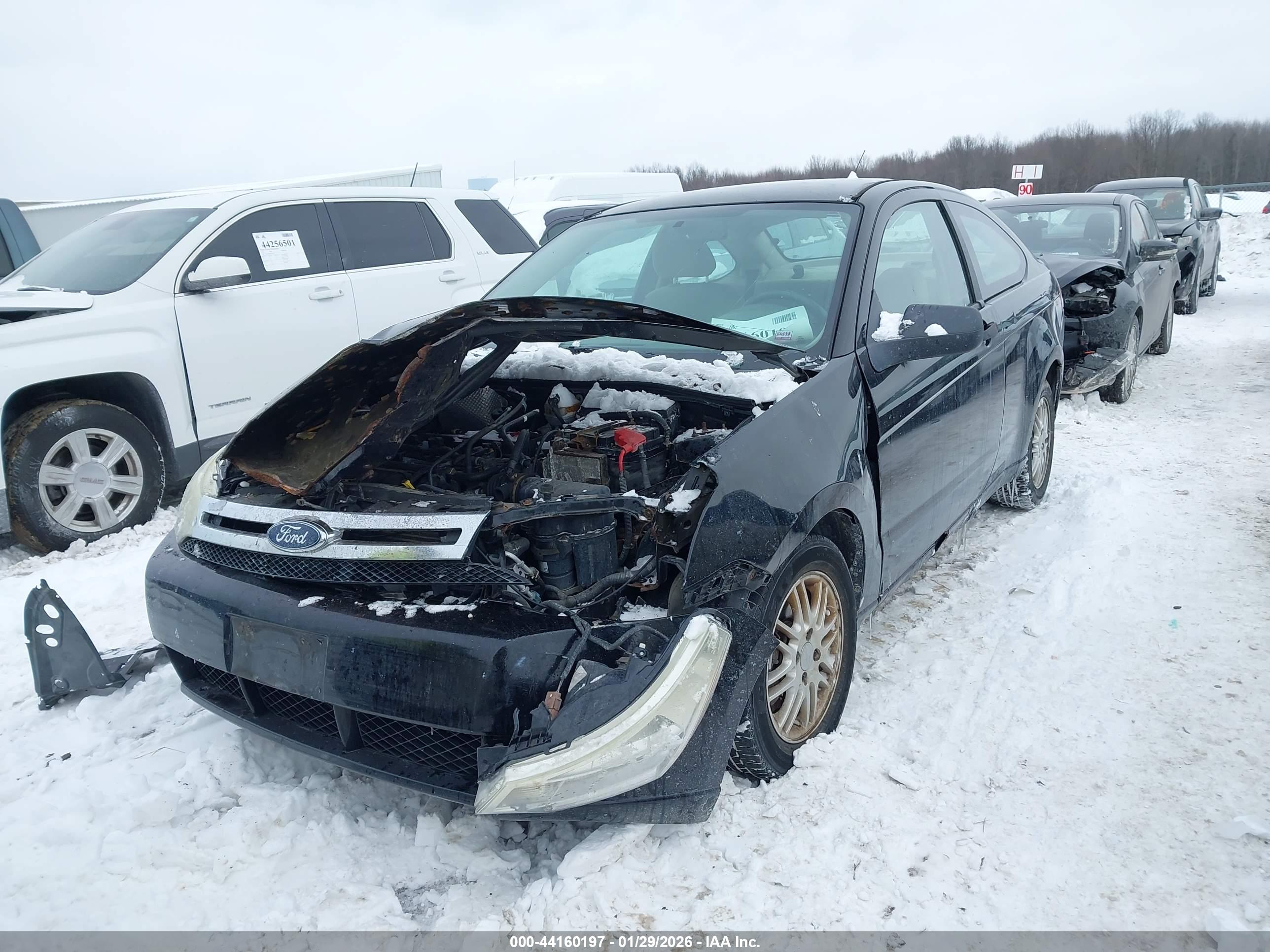 FORD FOCUS image 2