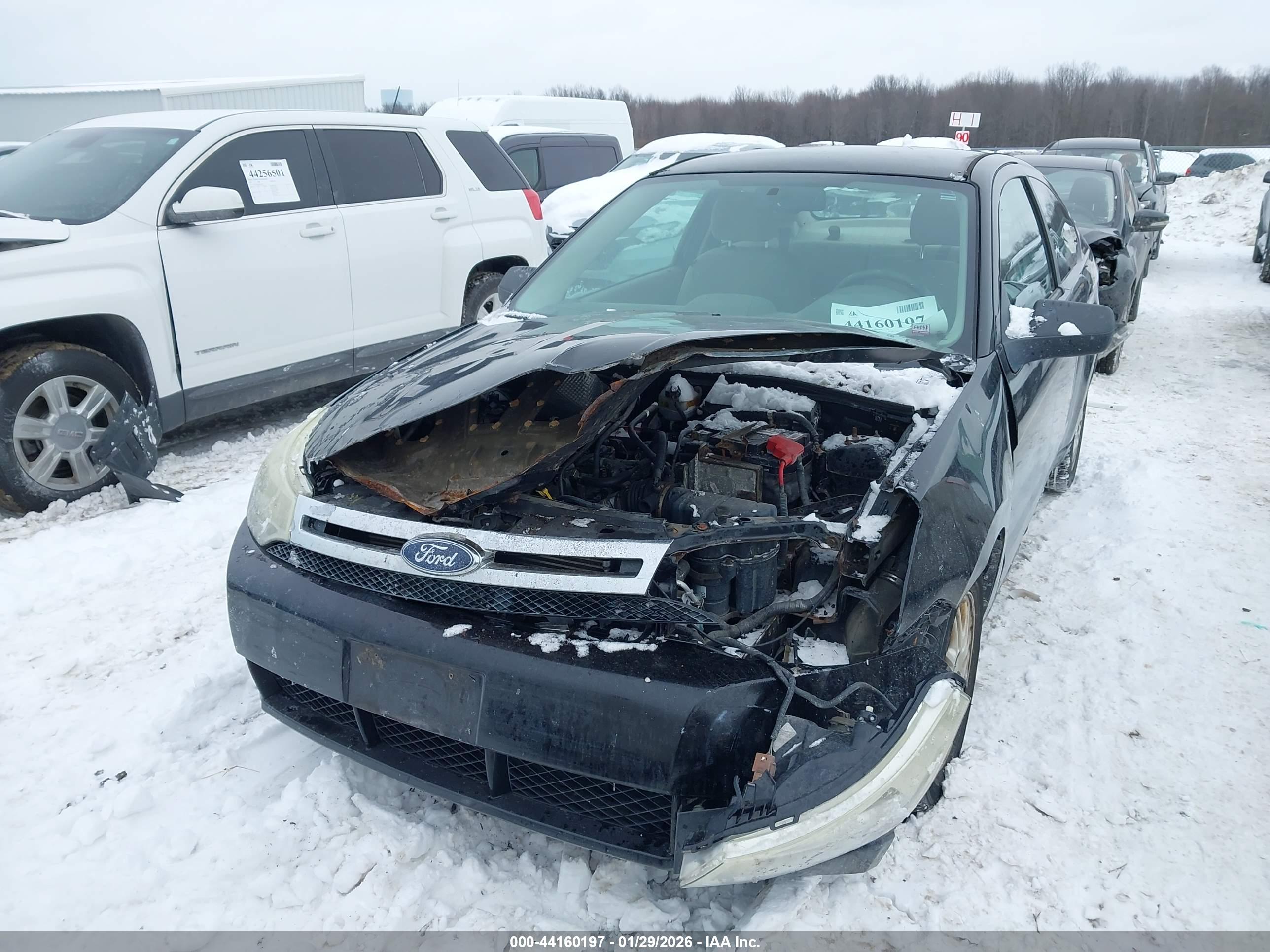 FORD FOCUS image 6