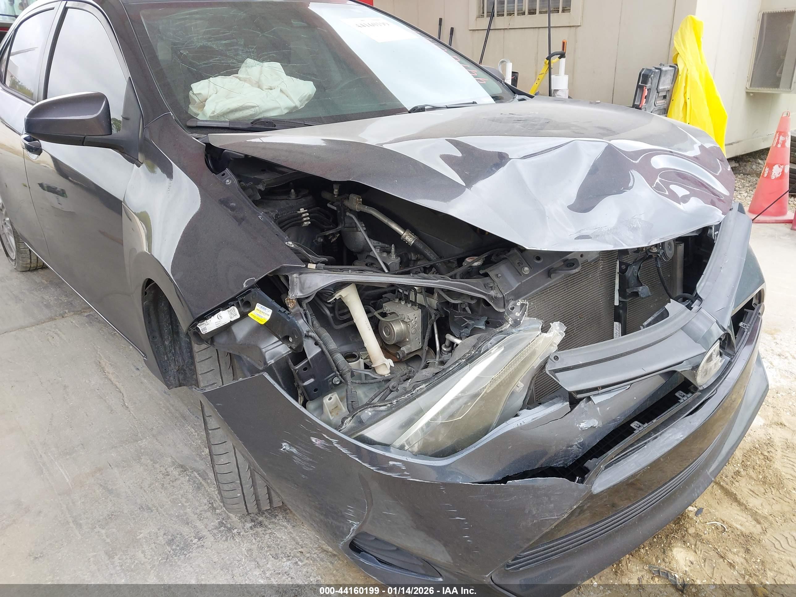 TOYOTA COROLLA image 6
