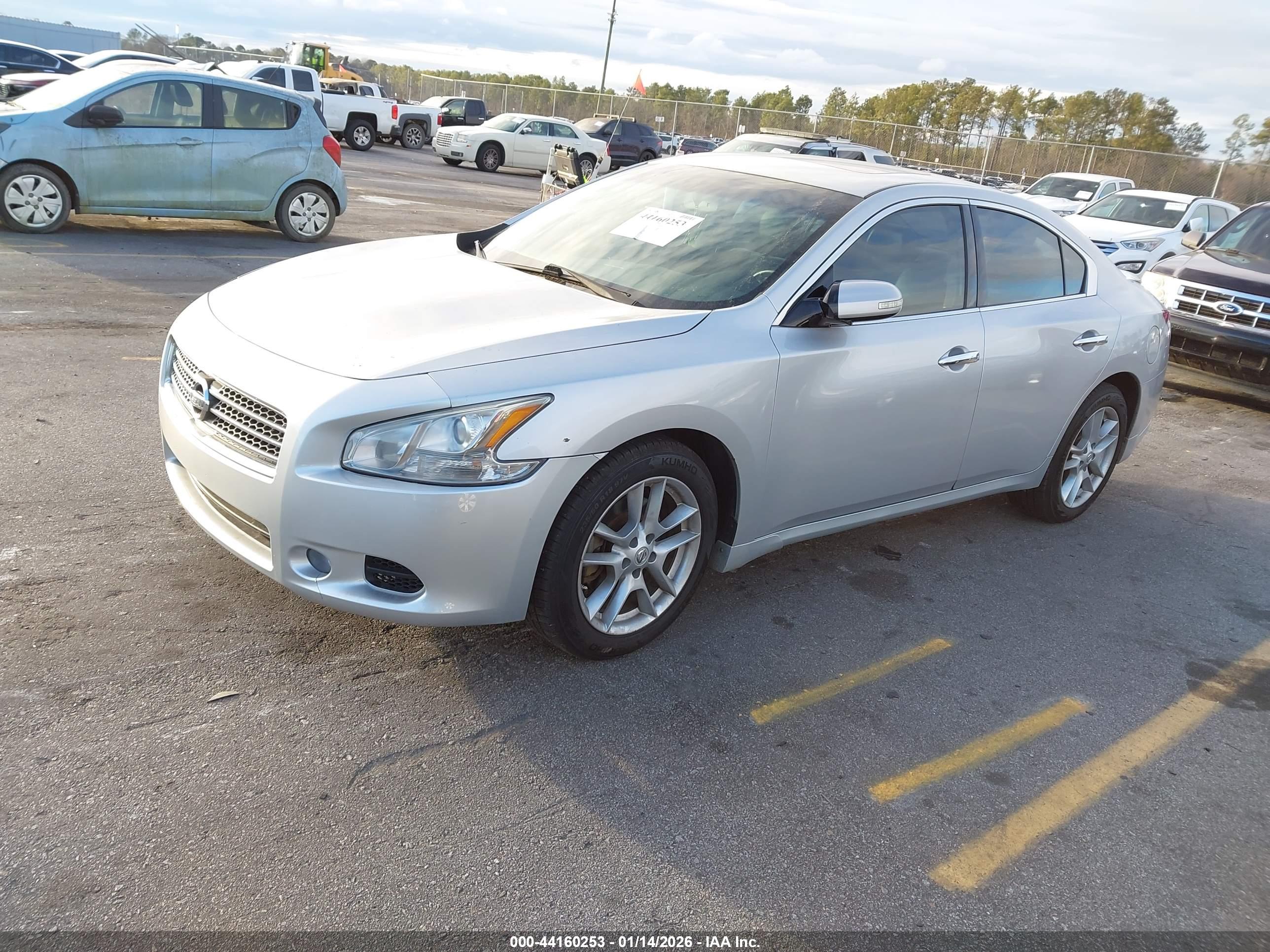 NISSAN MAXIMA image 2