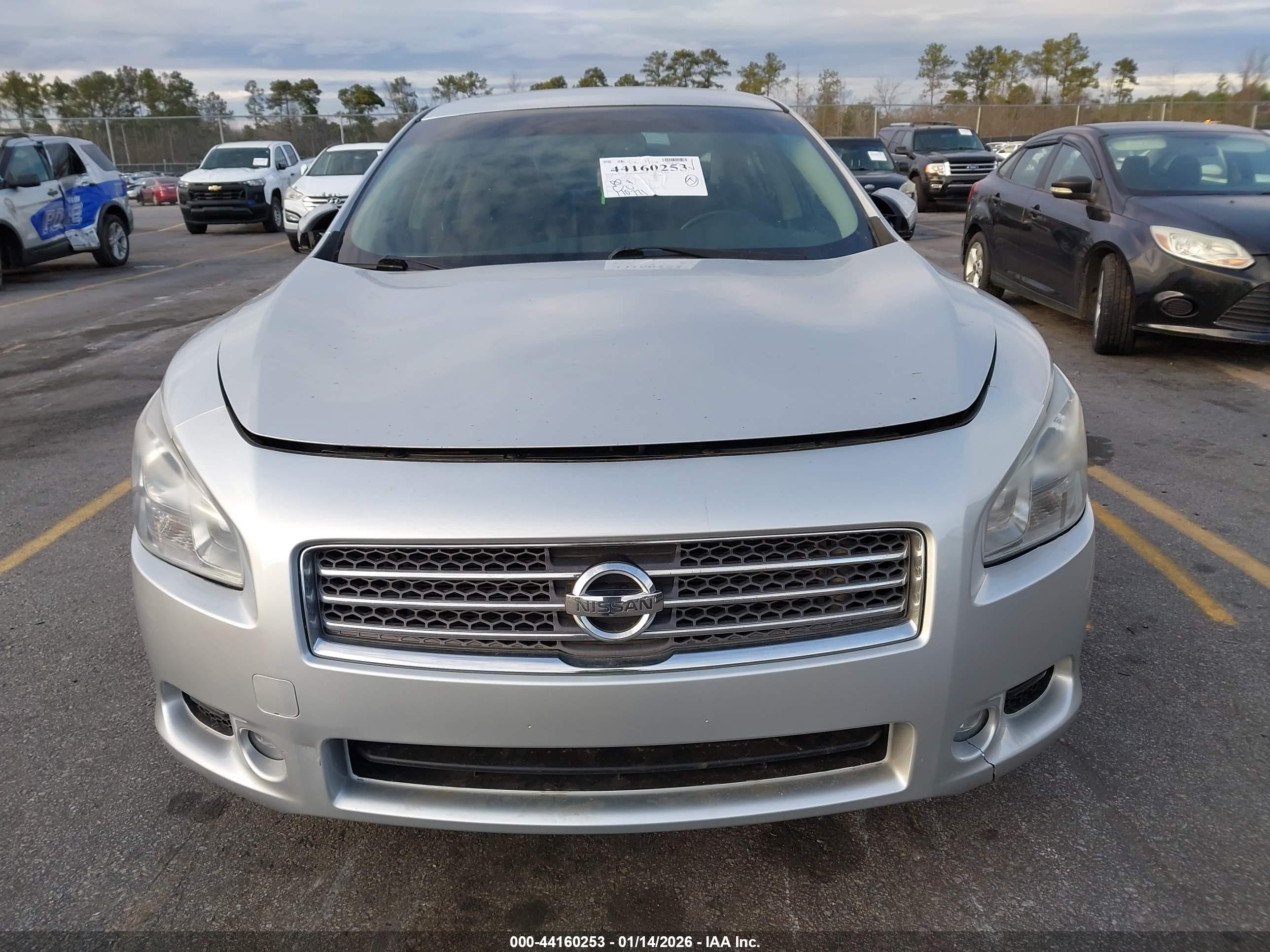 NISSAN MAXIMA image 6