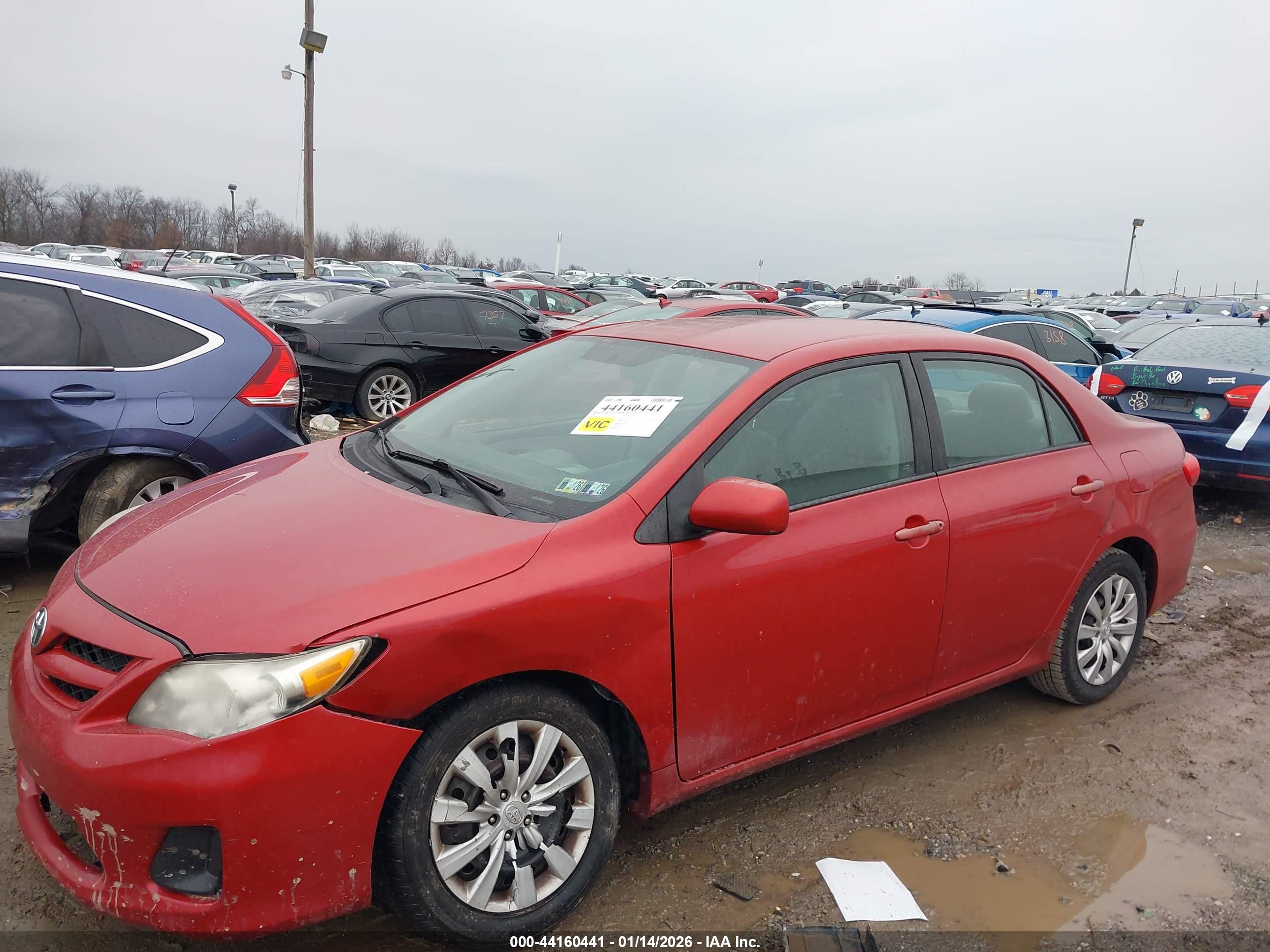 TOYOTA COROLLA image 6
