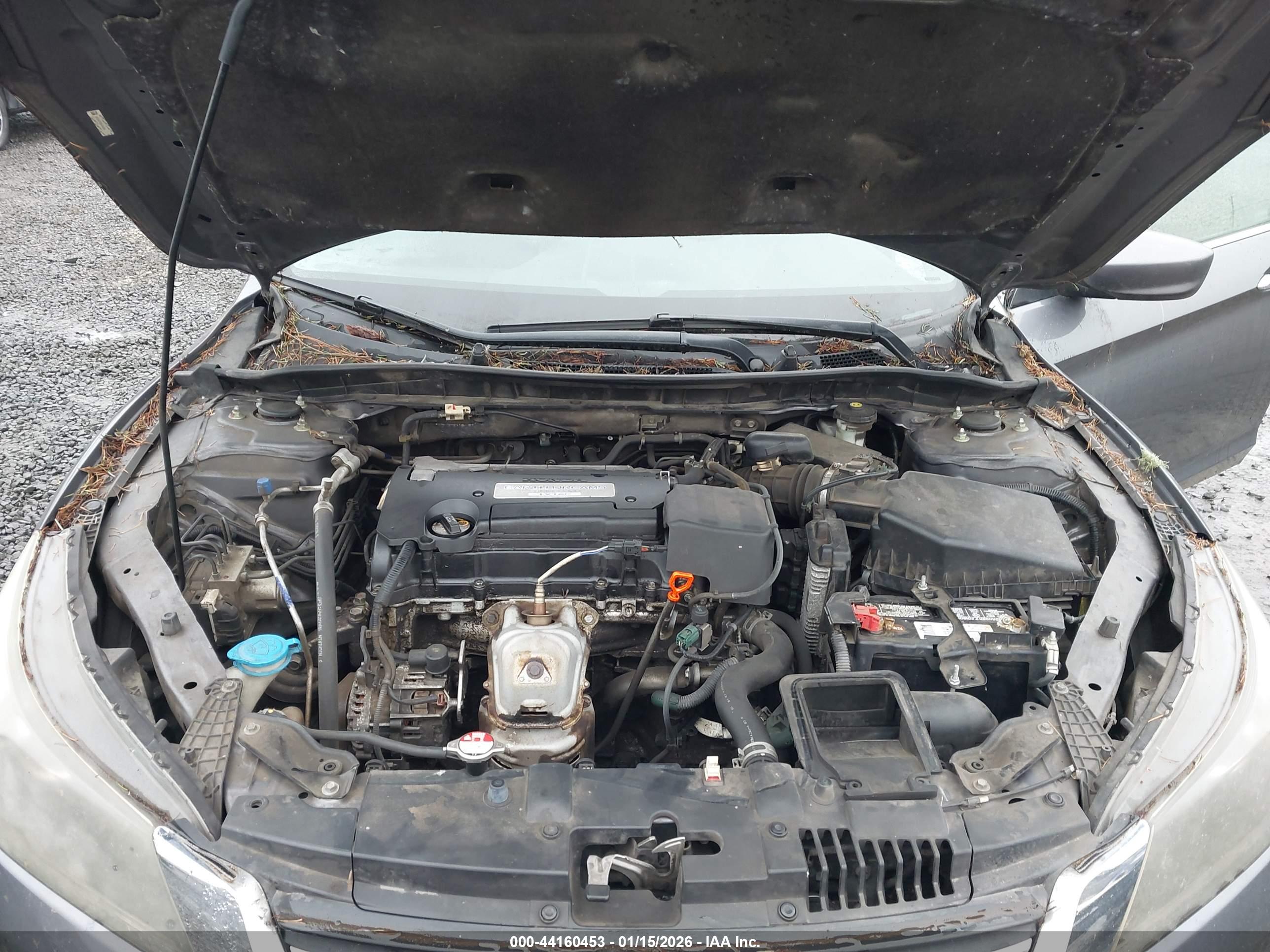HONDA ACCORD image 10