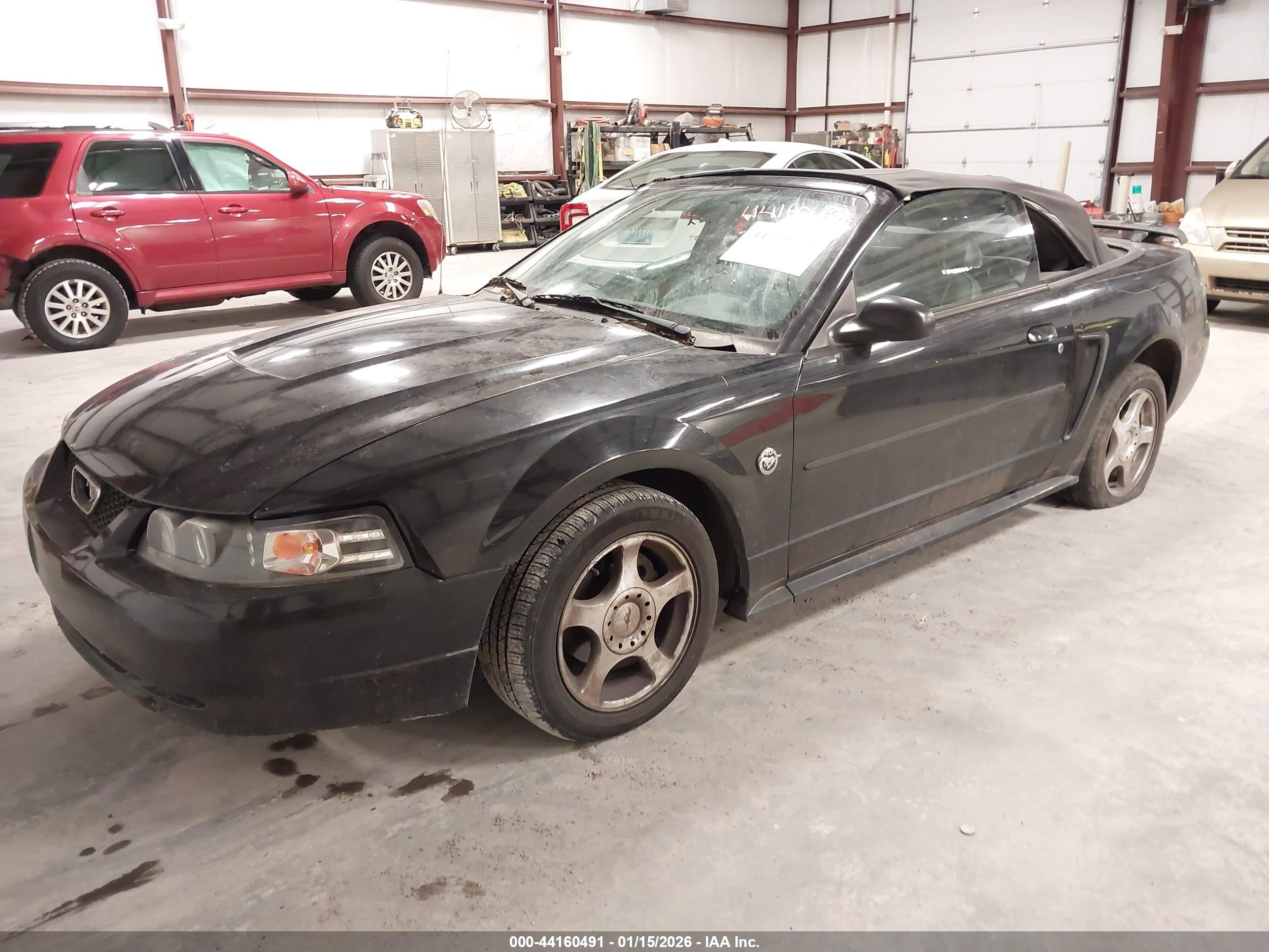 FORD MUSTANG image 2