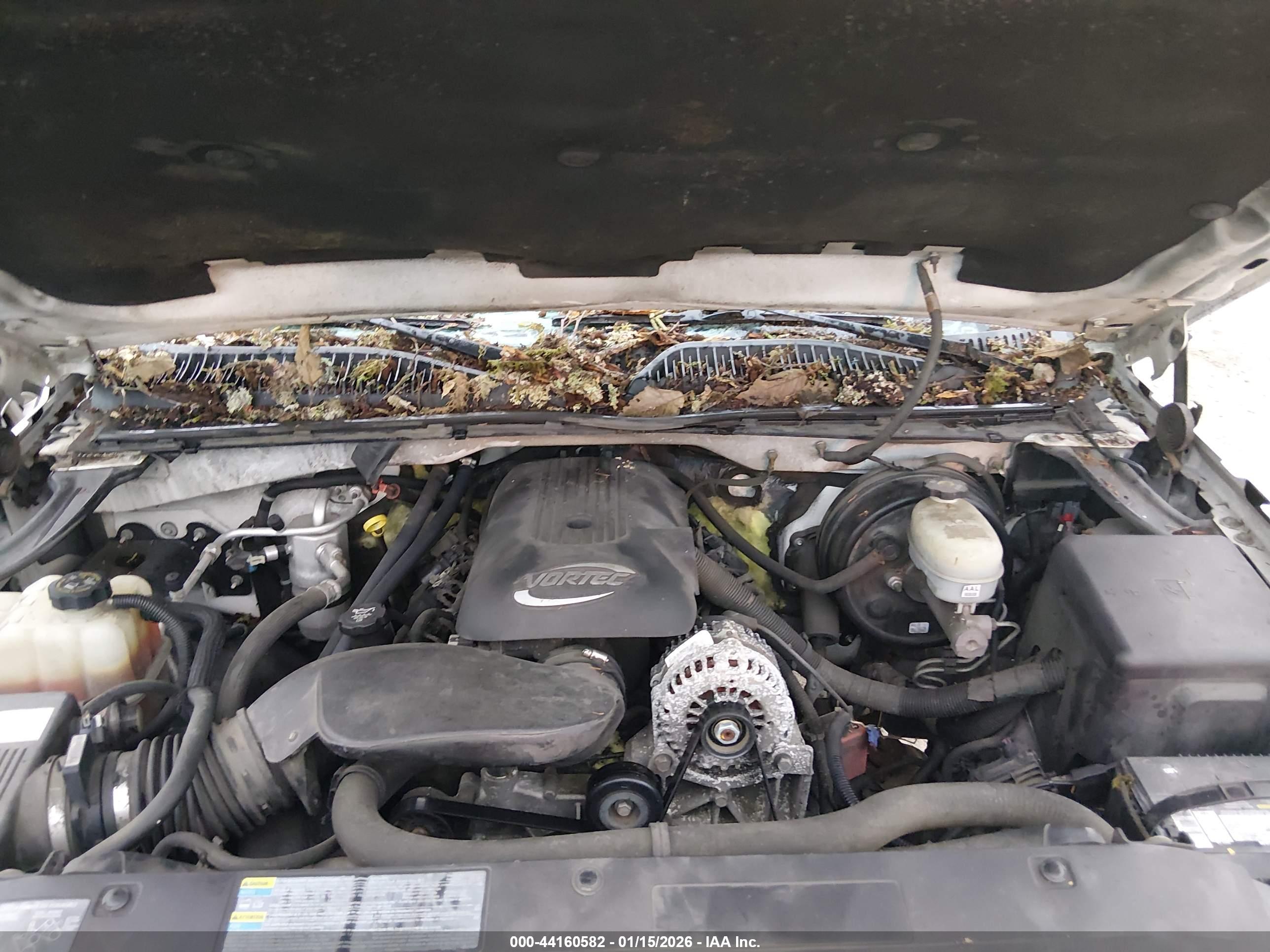 CHEVROLET SILVERADO image 10