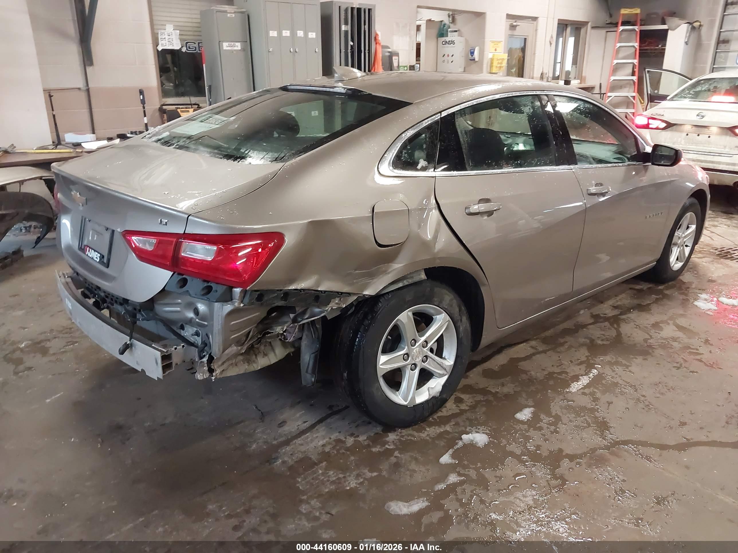 CHEVROLET MALIBU image 4