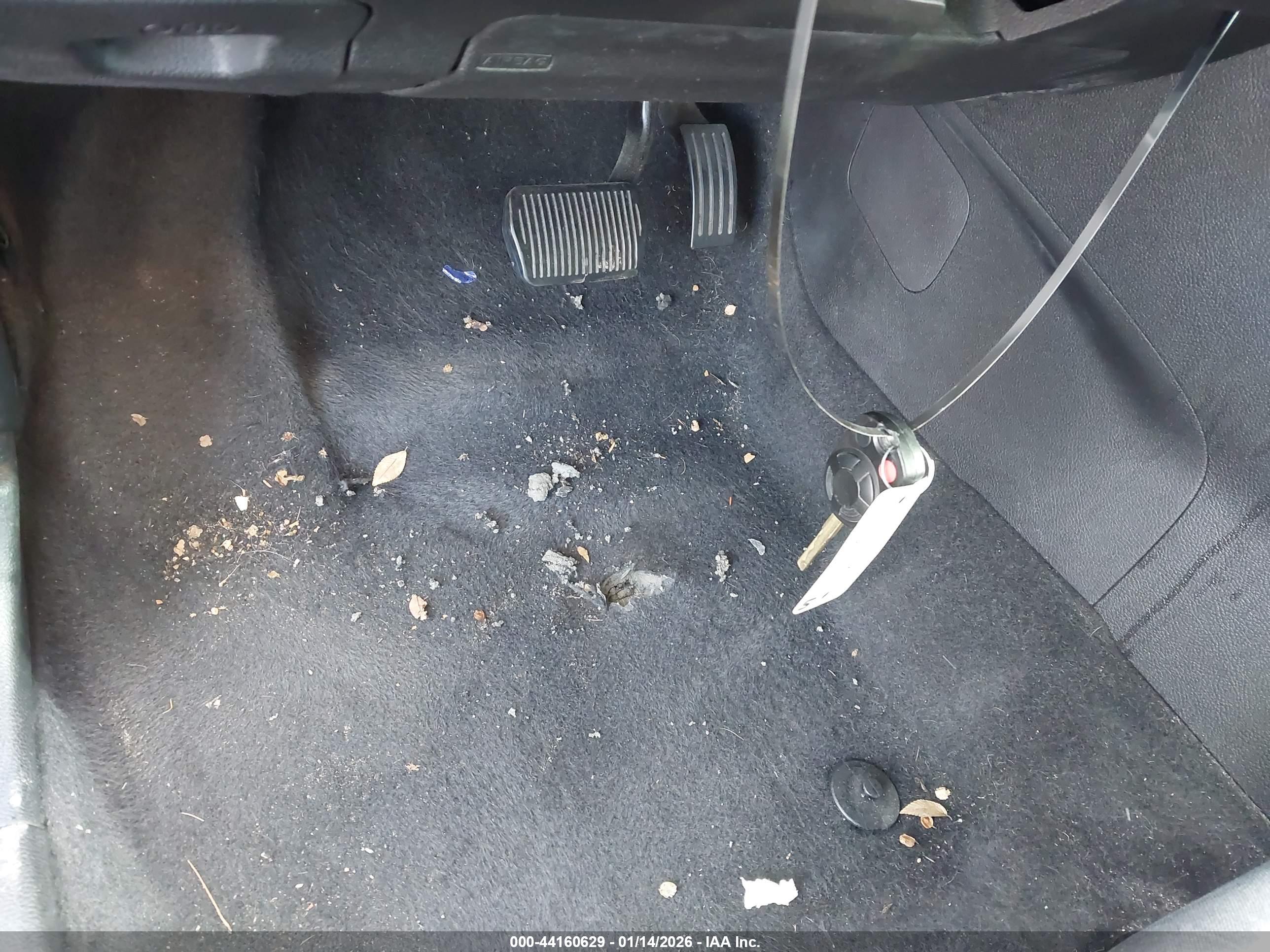 FORD FOCUS image 11