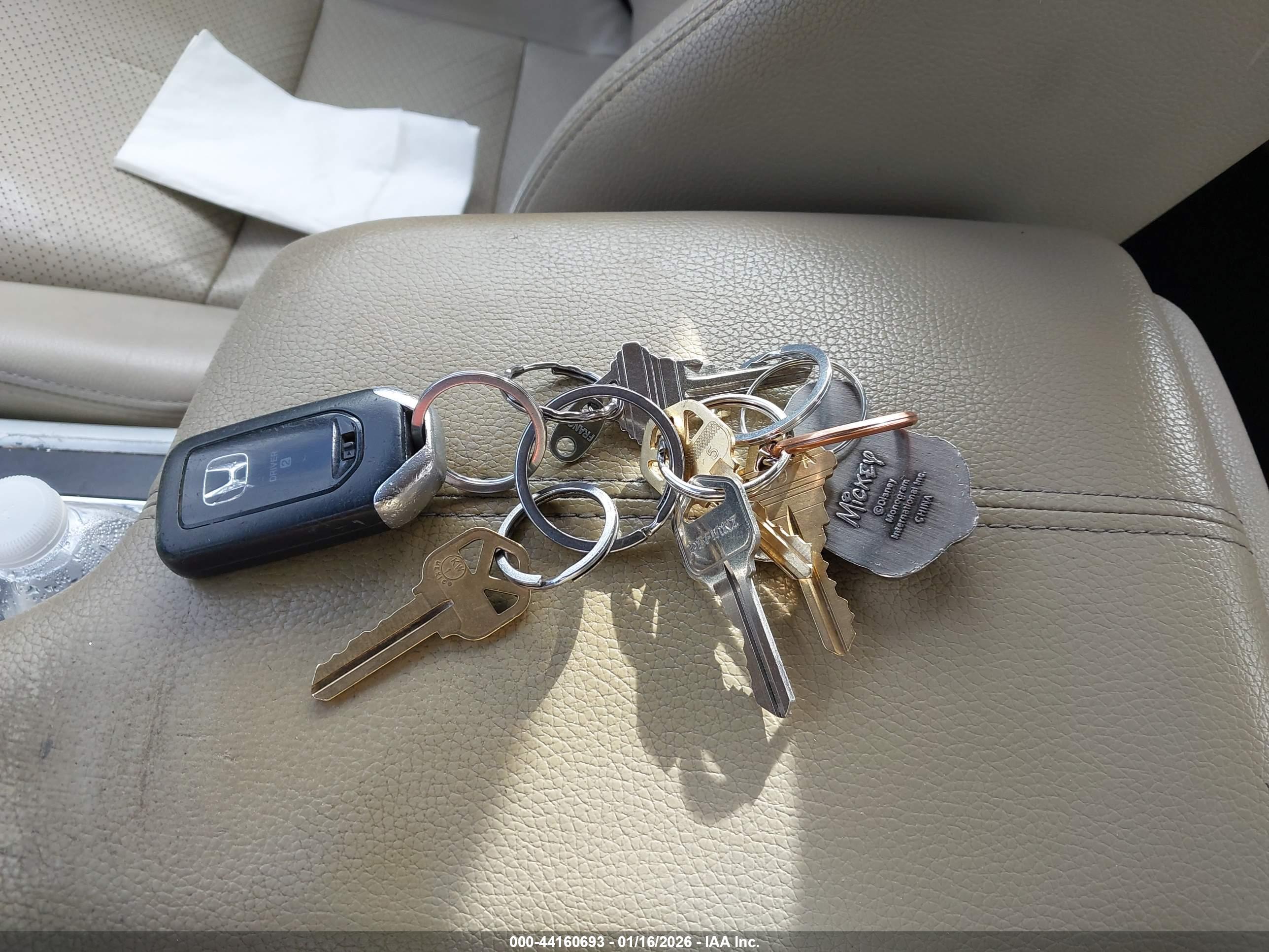 HONDA ACCORD image 11