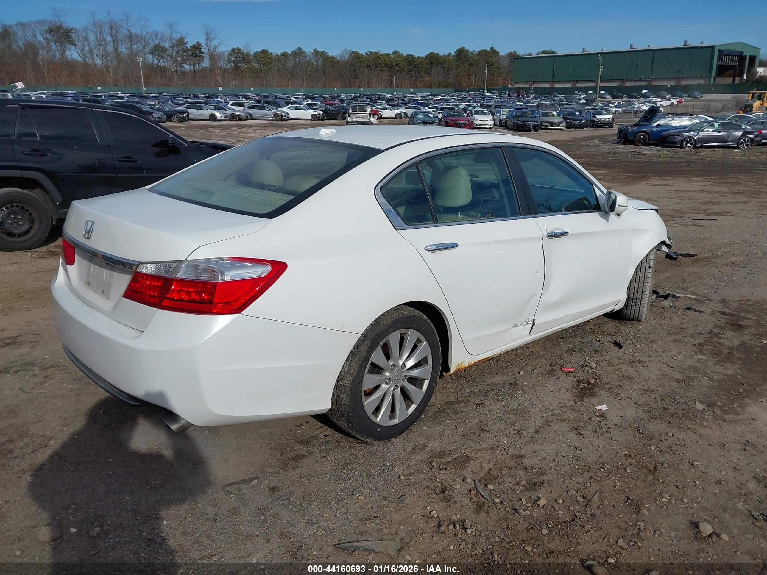 HONDA ACCORD image 4