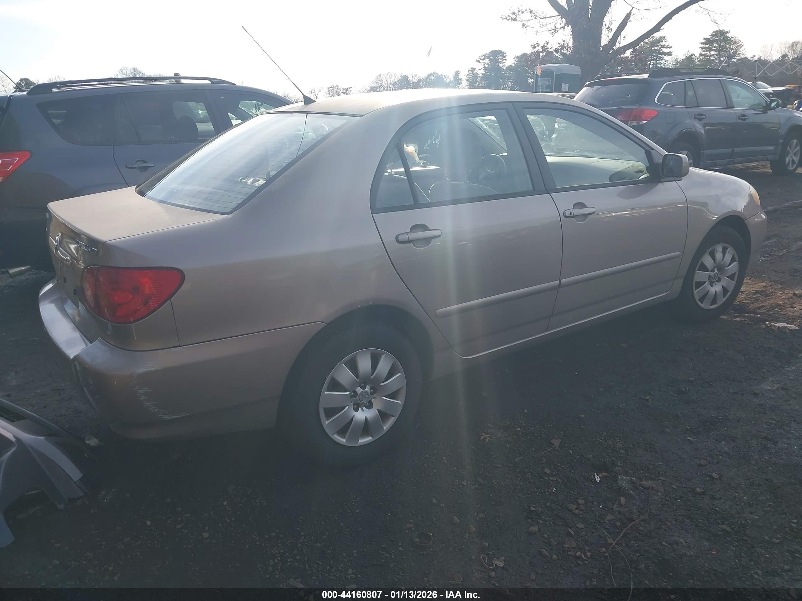 TOYOTA COROLLA image 4