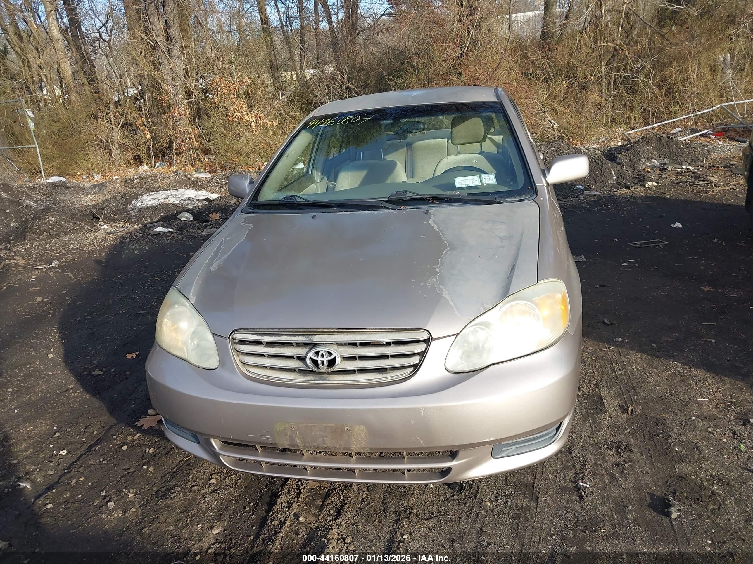 TOYOTA COROLLA image 6