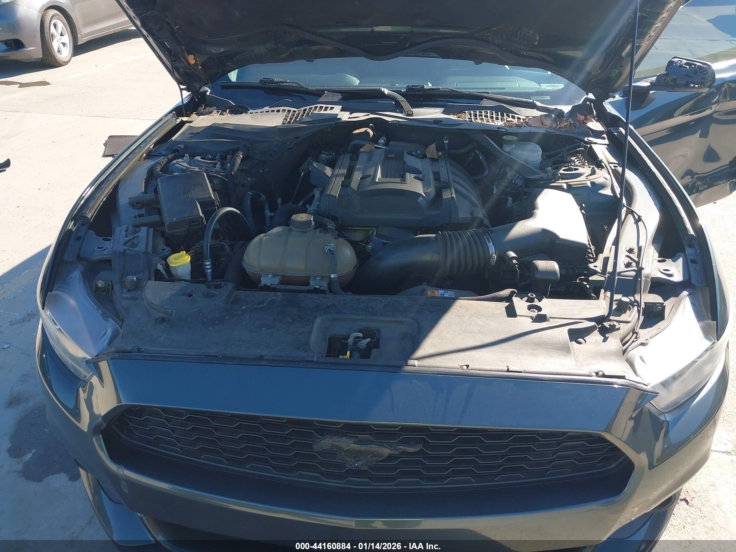 FORD MUSTANG image 10