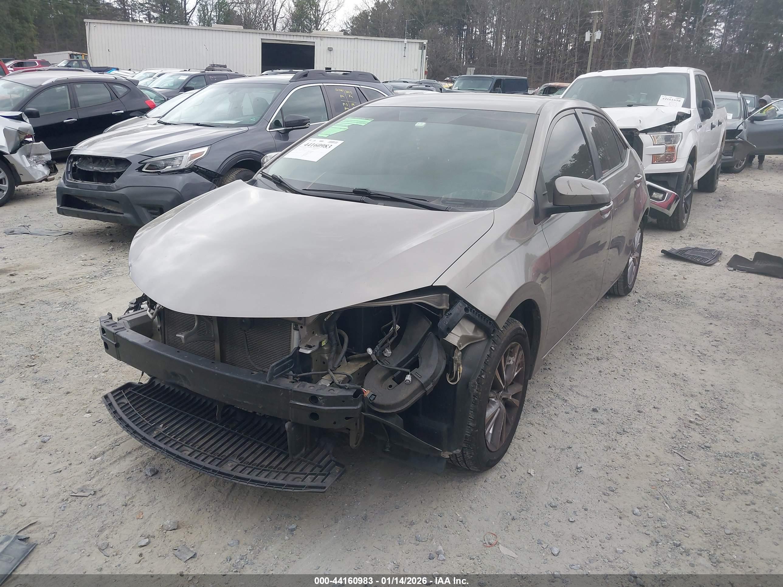 TOYOTA COROLLA image 2