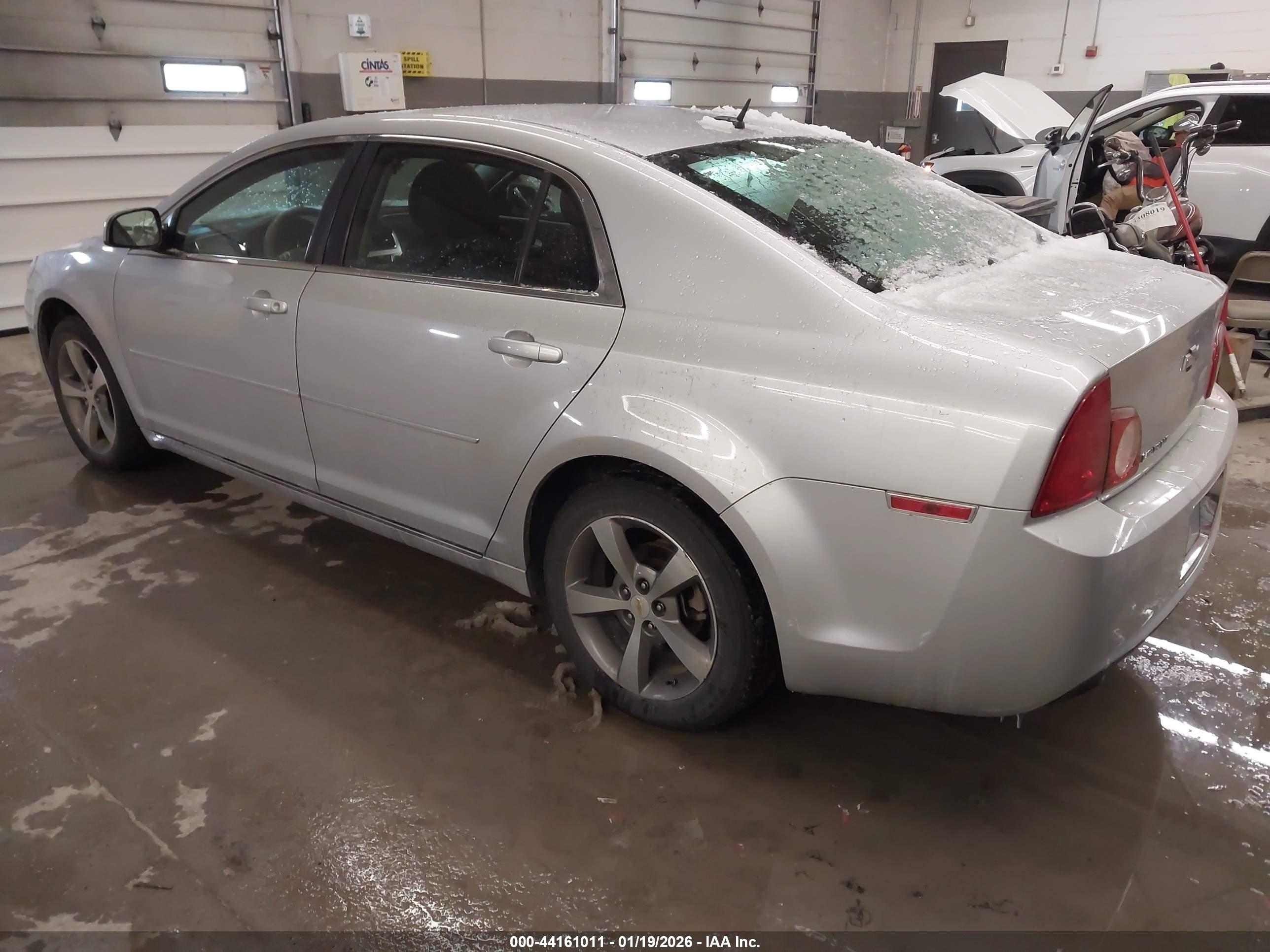 CHEVROLET MALIBU image 3