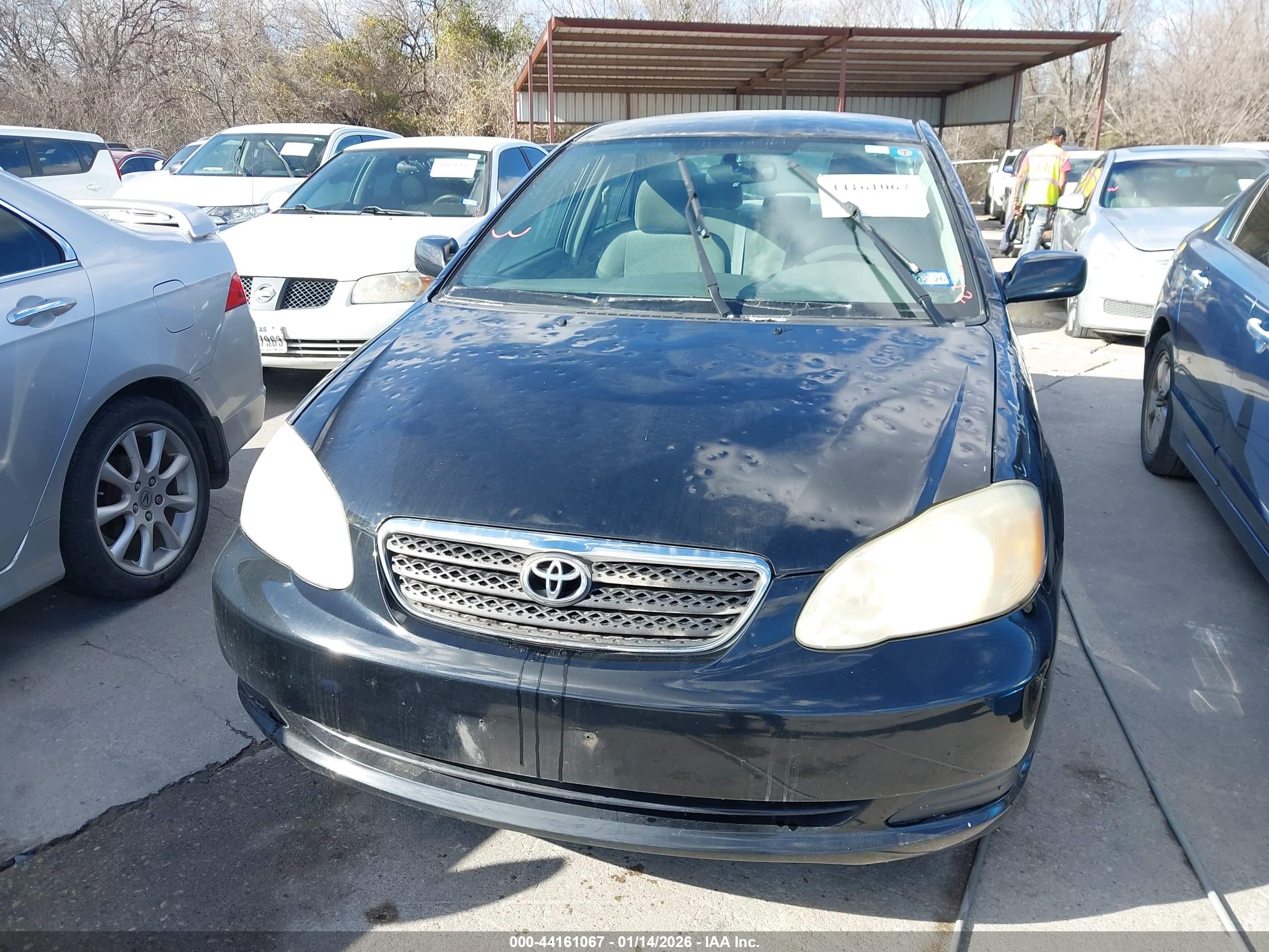TOYOTA COROLLA image 6