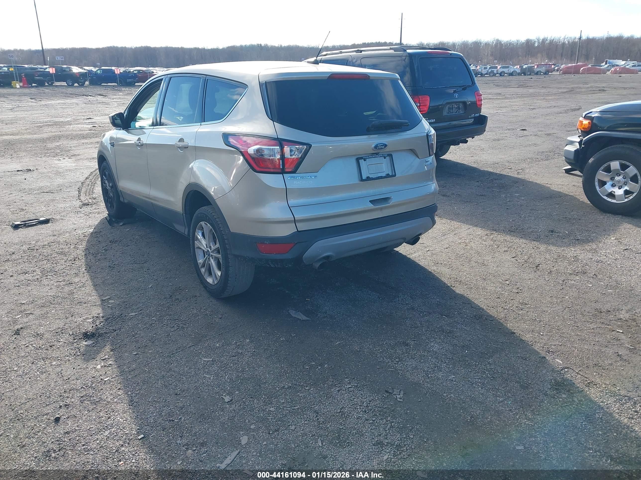 FORD ESCAPE image 3