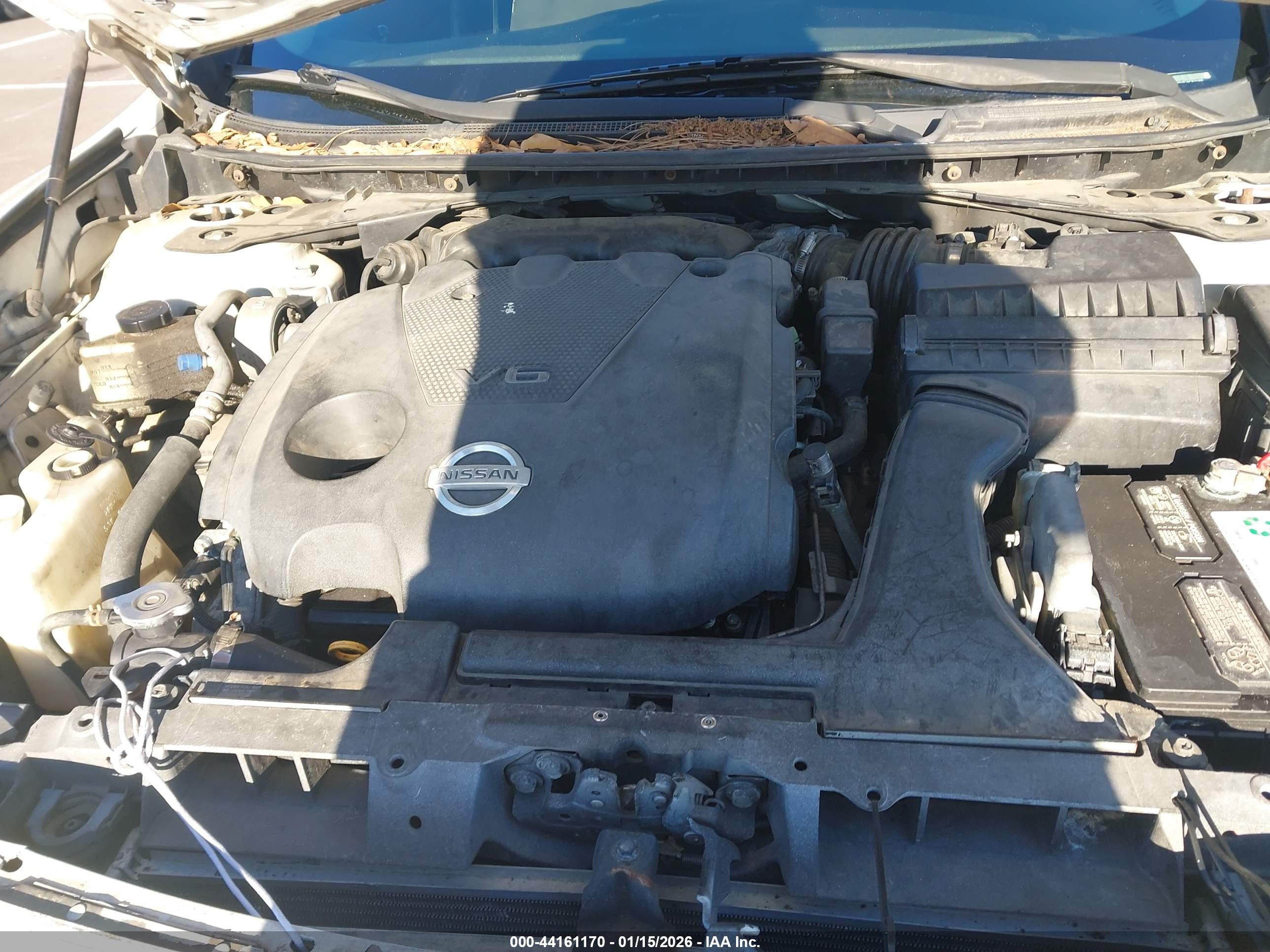 NISSAN MAXIMA image 10