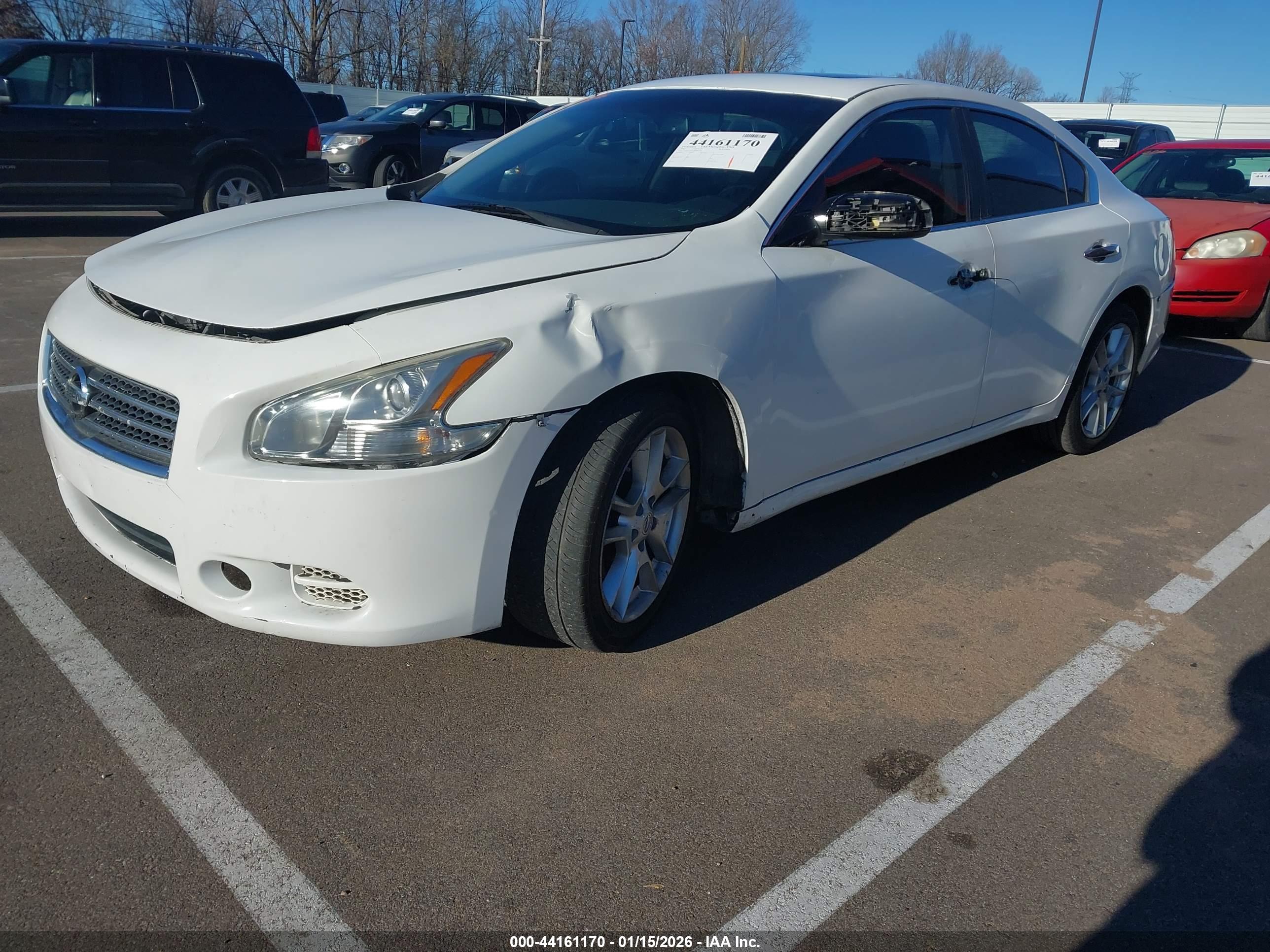 NISSAN MAXIMA image 2