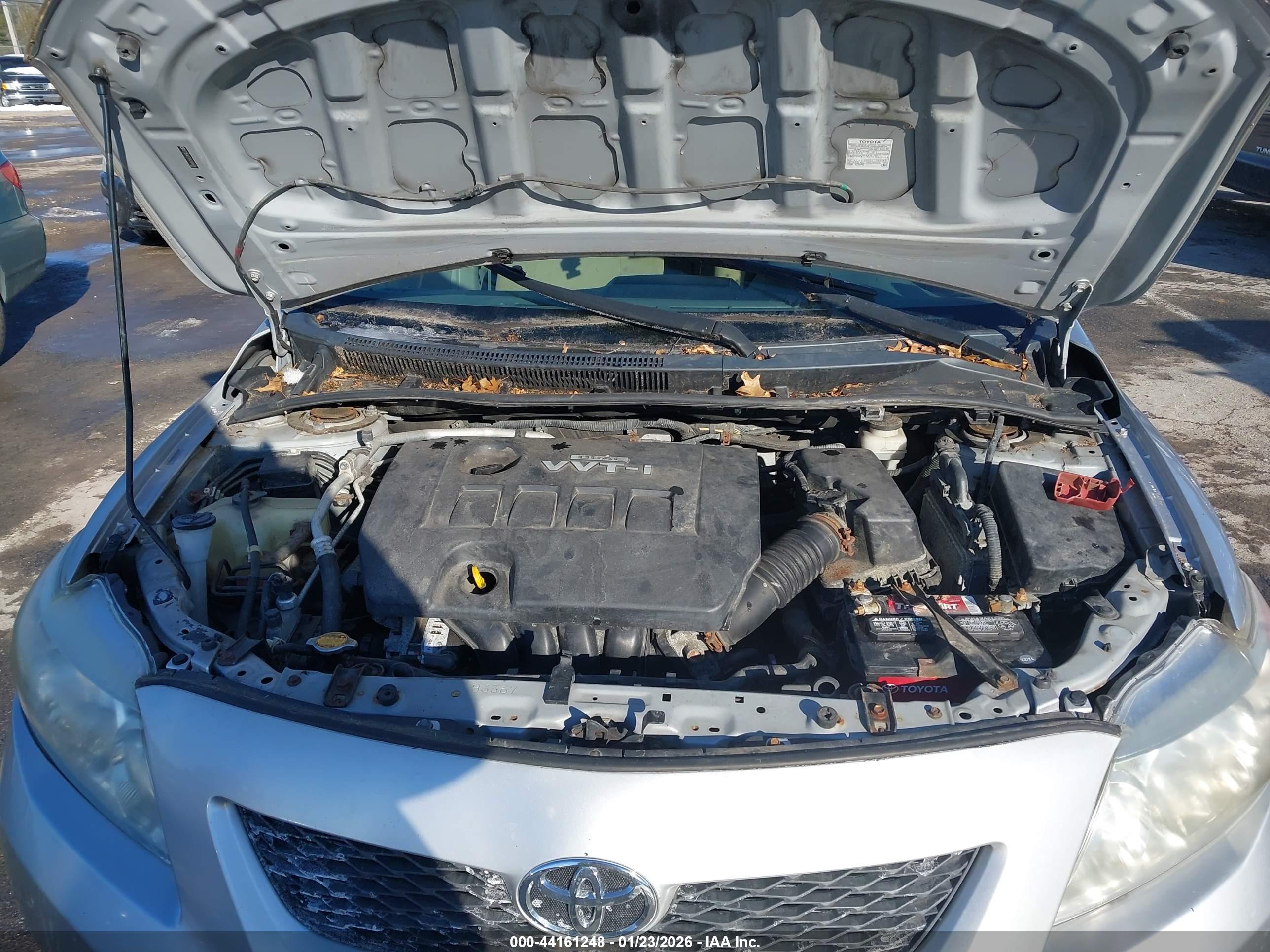 TOYOTA COROLLA image 10