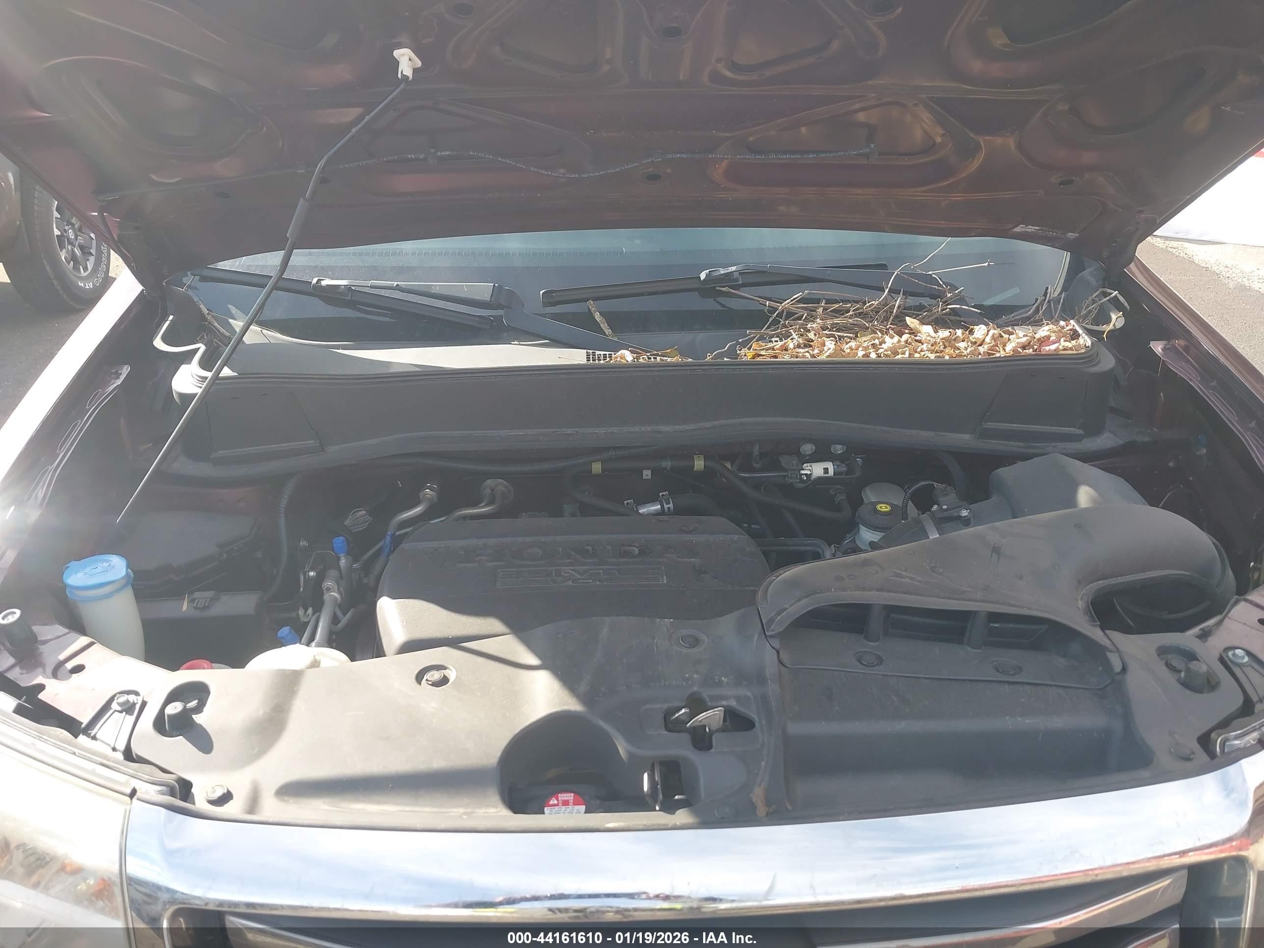HONDA PILOT image 10