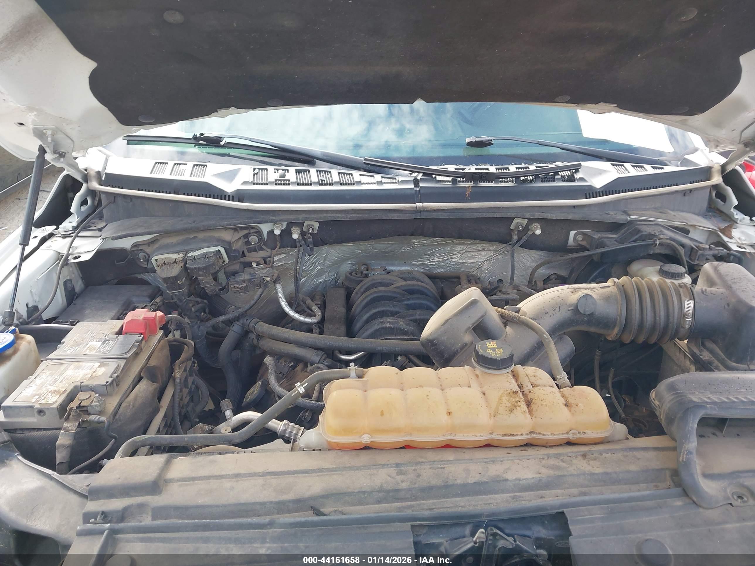 FORD F-150 image 10