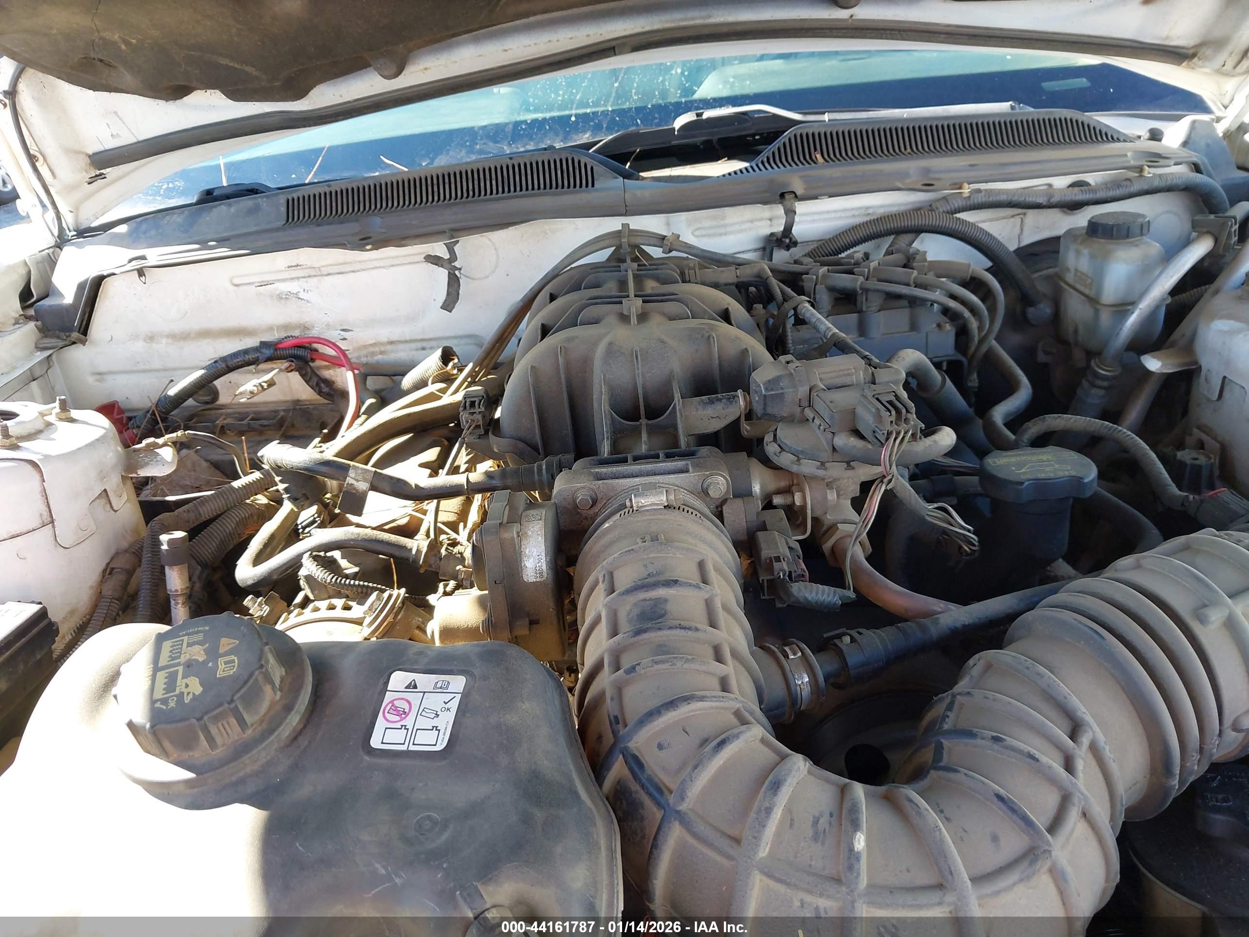 FORD MUSTANG image 10