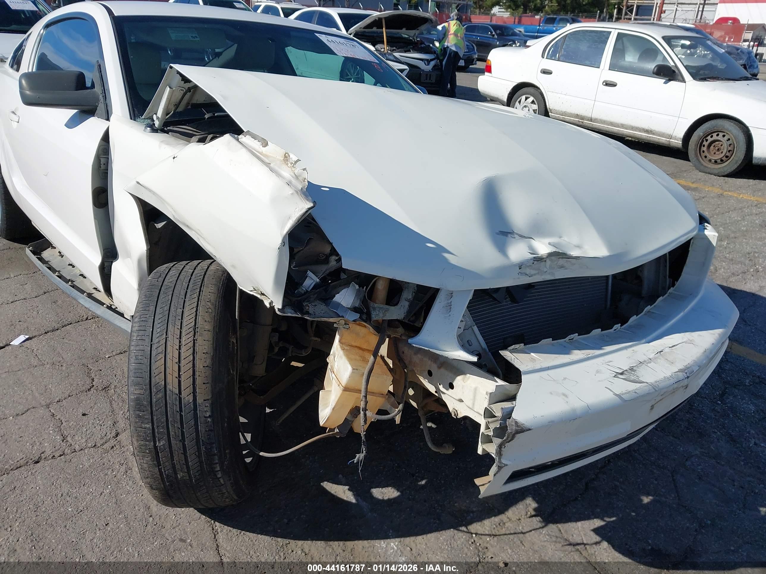 FORD MUSTANG image 6