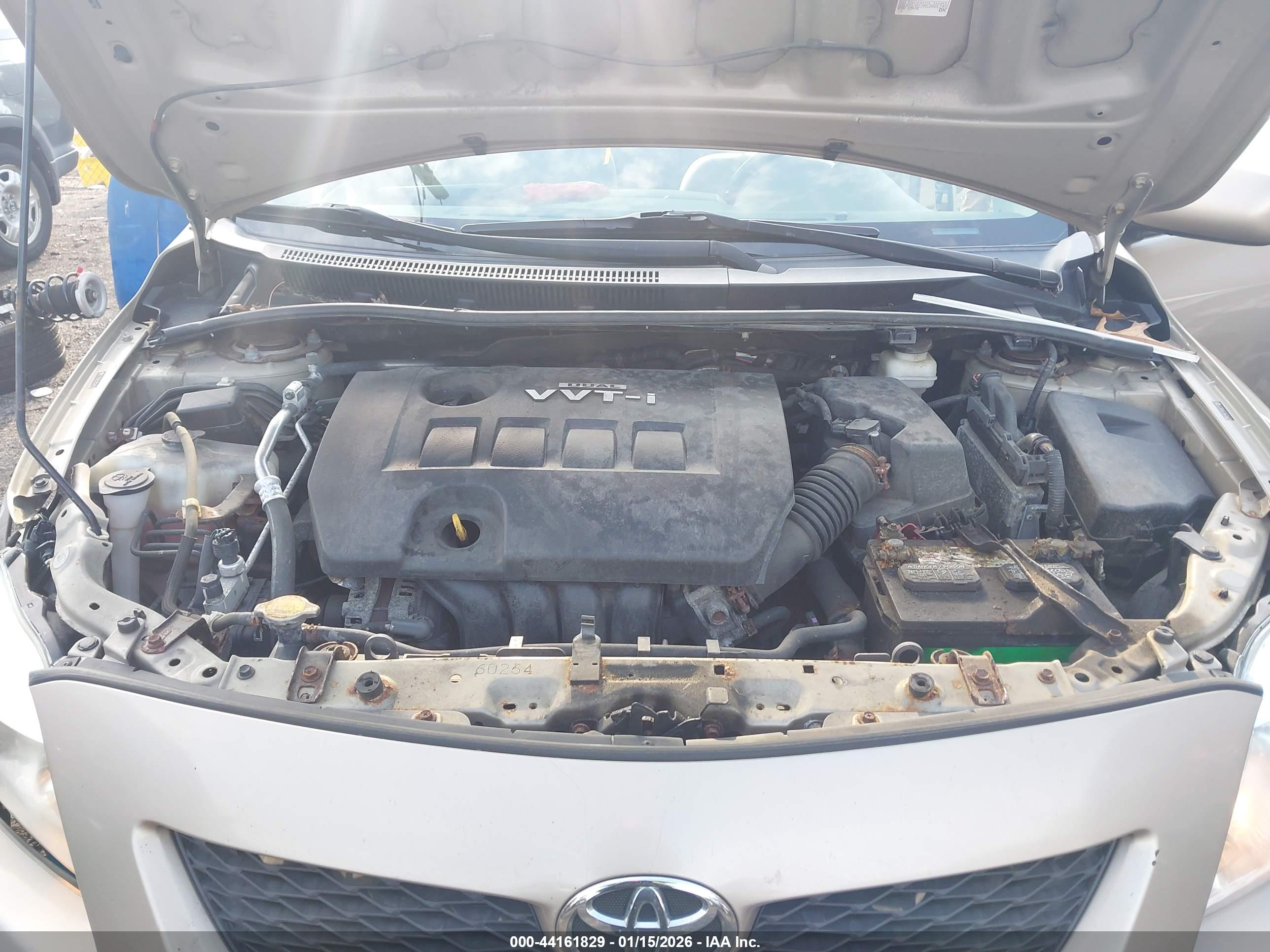 TOYOTA COROLLA image 10