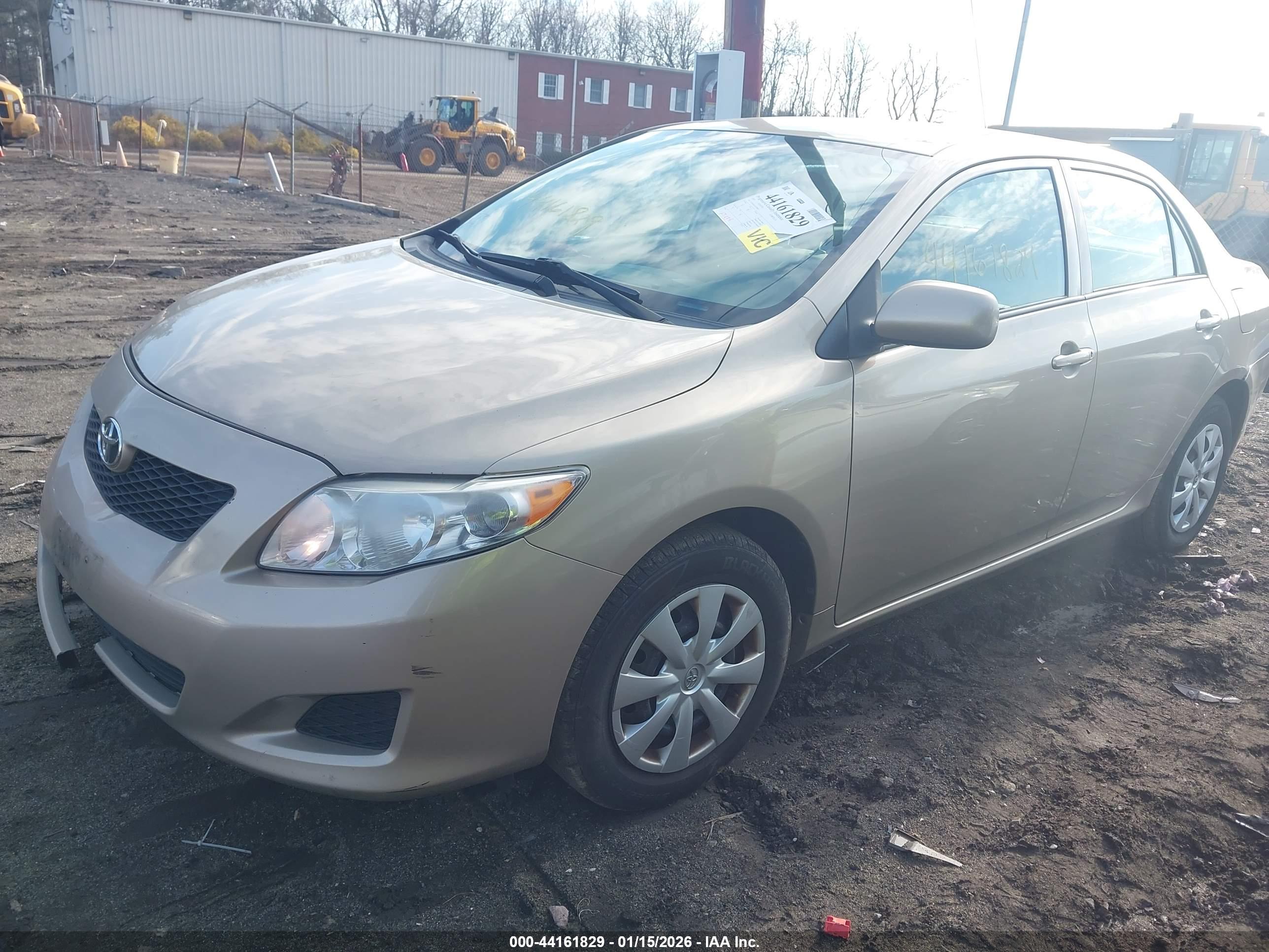 TOYOTA COROLLA image 2