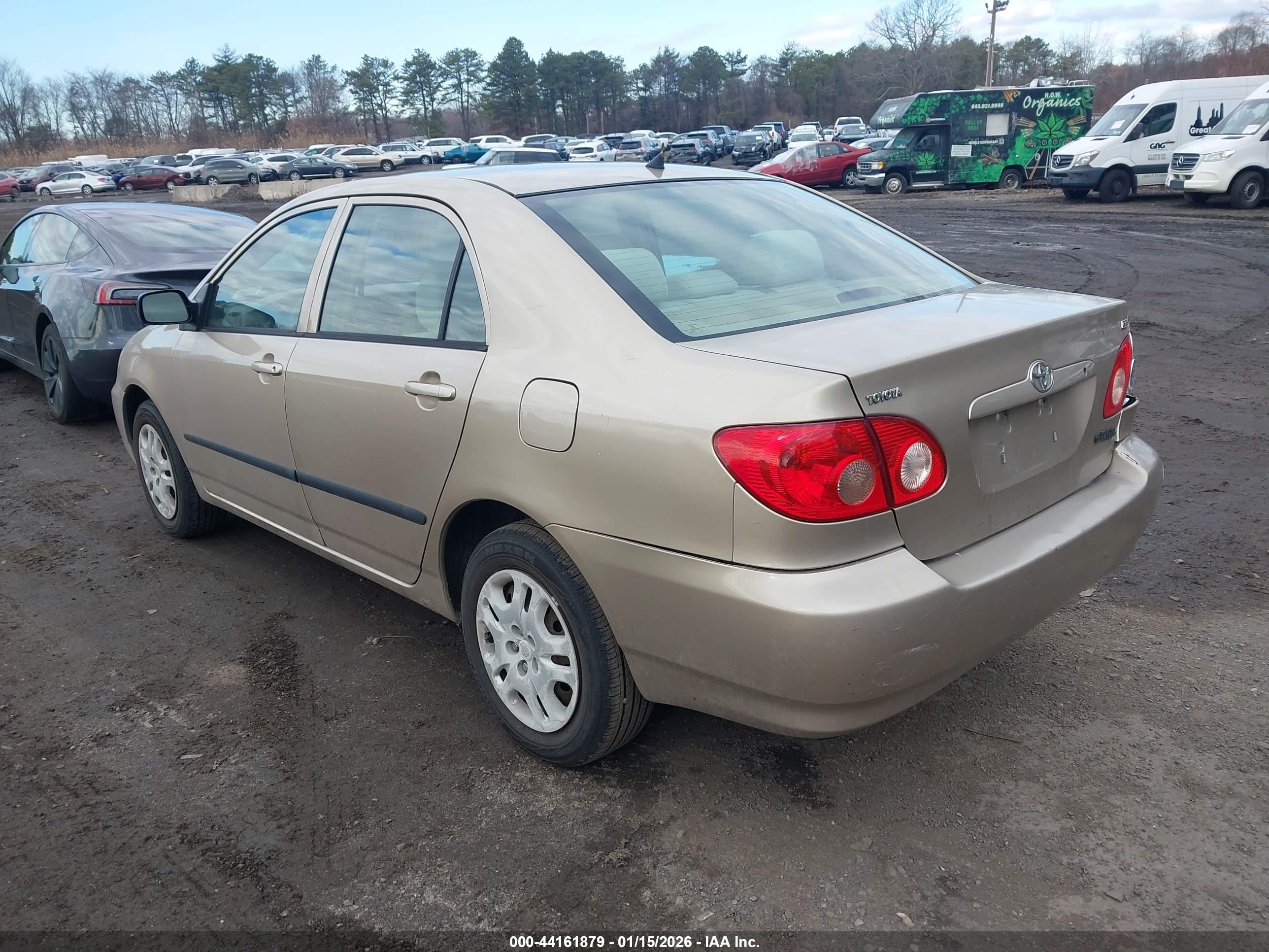 TOYOTA COROLLA image 3