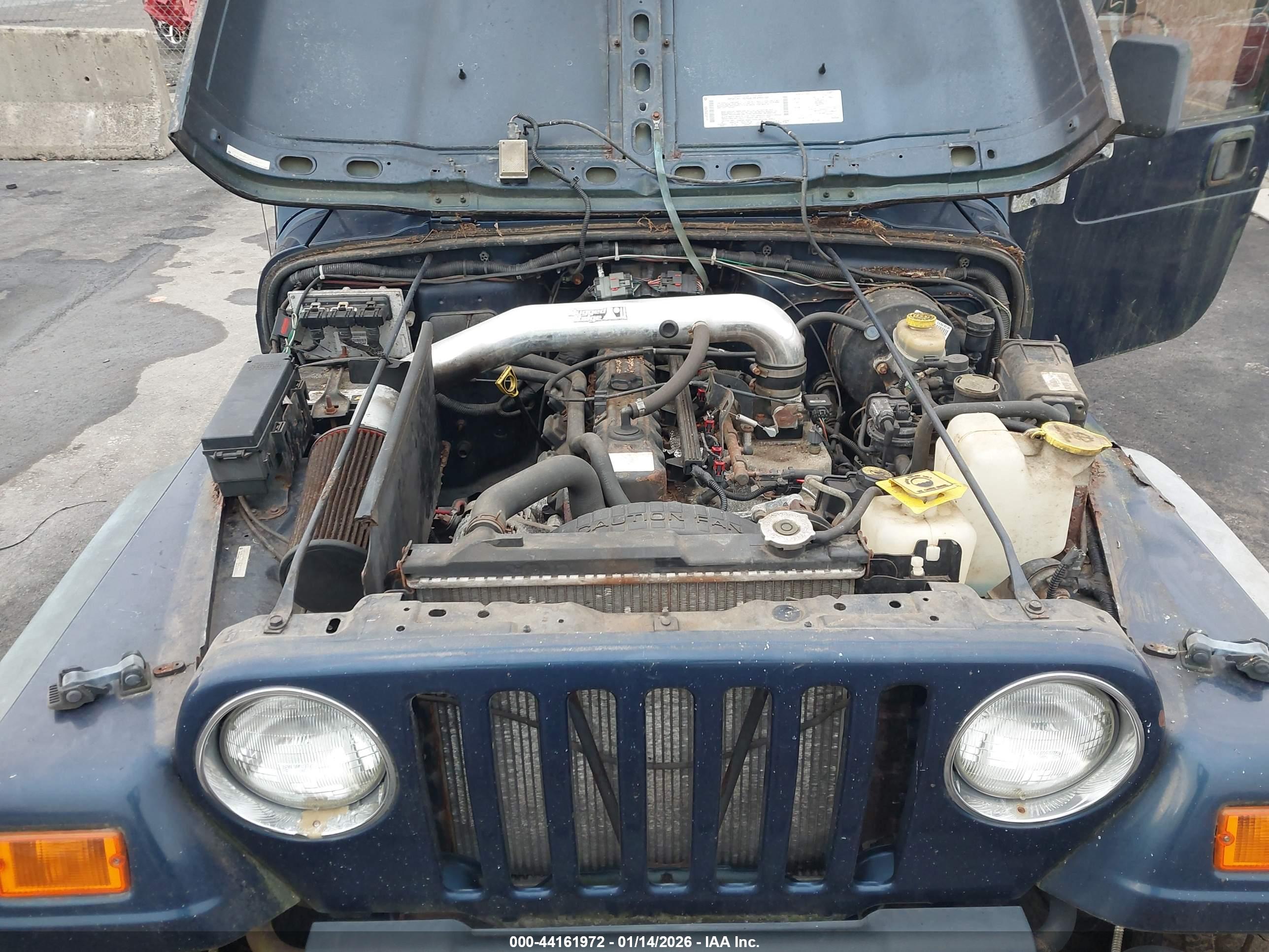 JEEP WRANGLER image 10