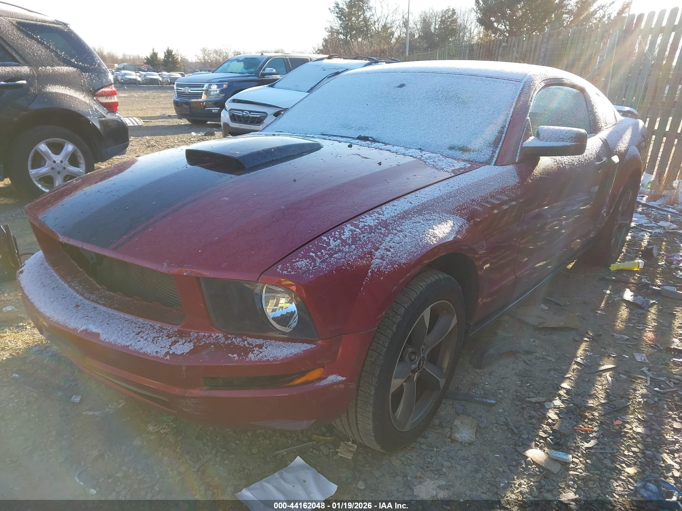 FORD MUSTANG image 2